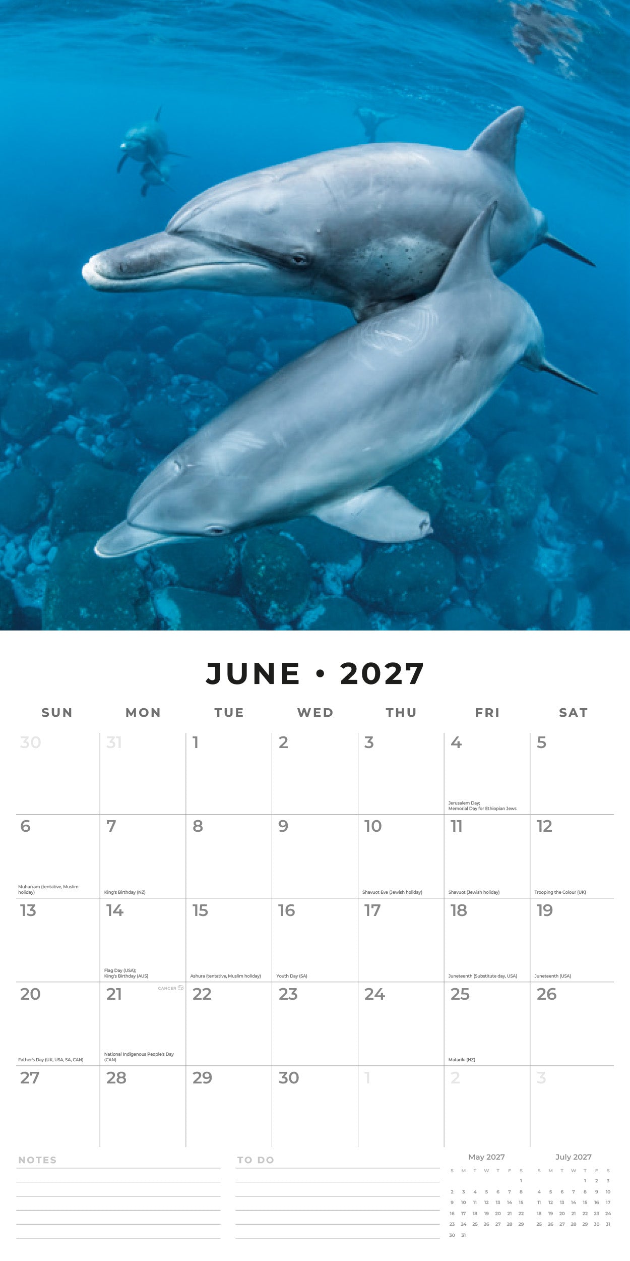 2027 Dolphins - Square Wall Calendar