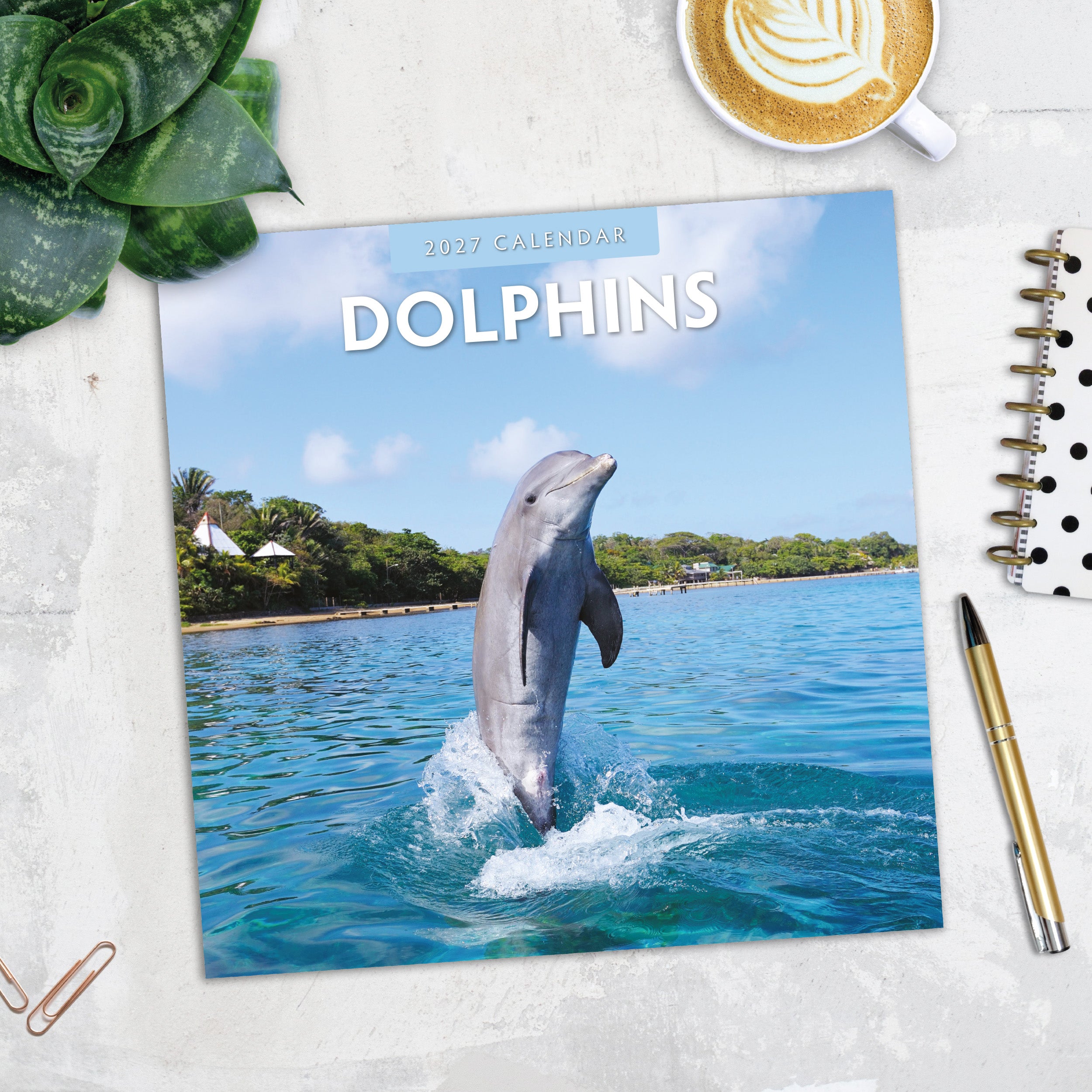 2027 Dolphins - Square Wall Calendar
