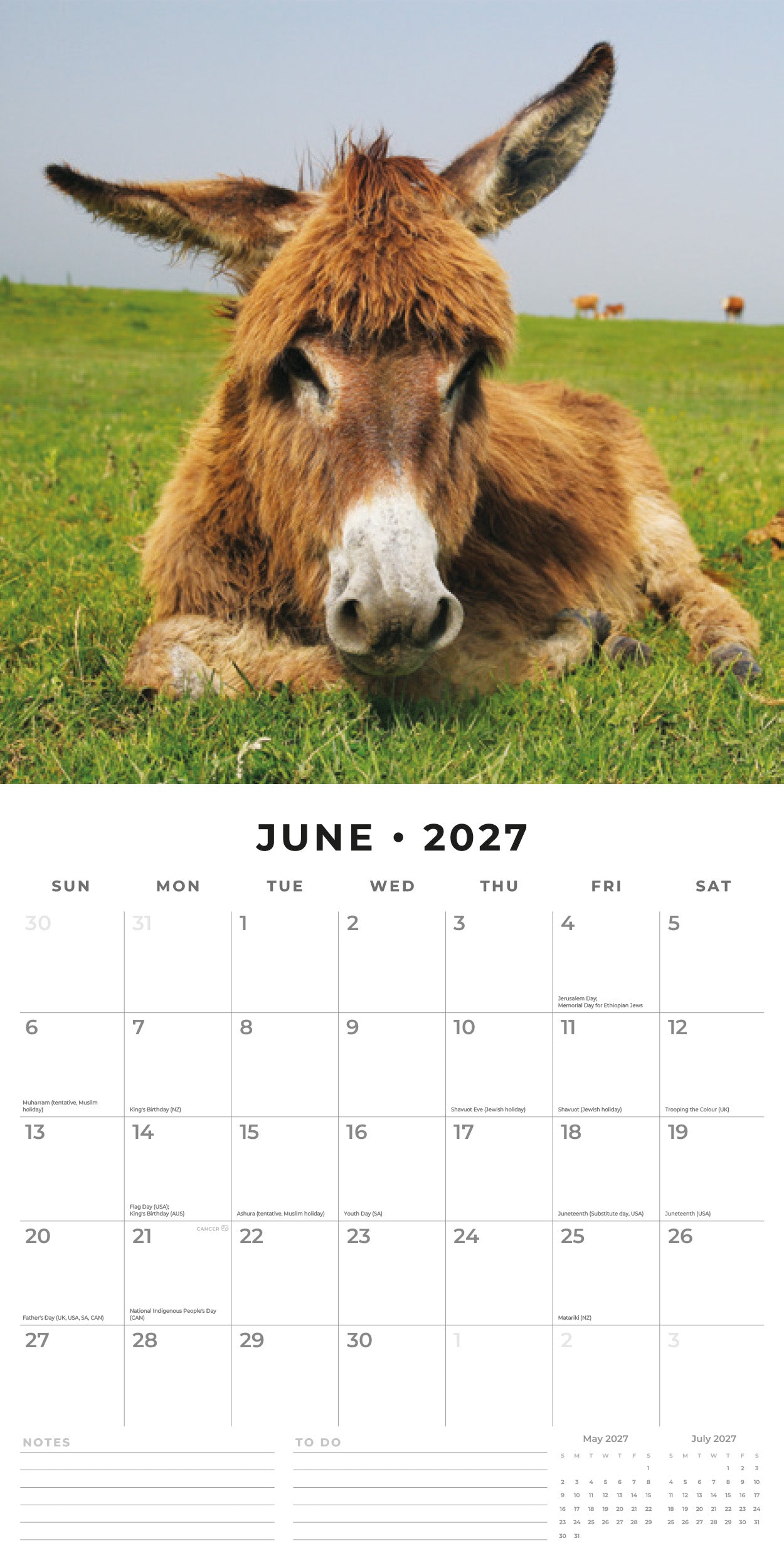 2027 Donkeys - Square Wall Calendar