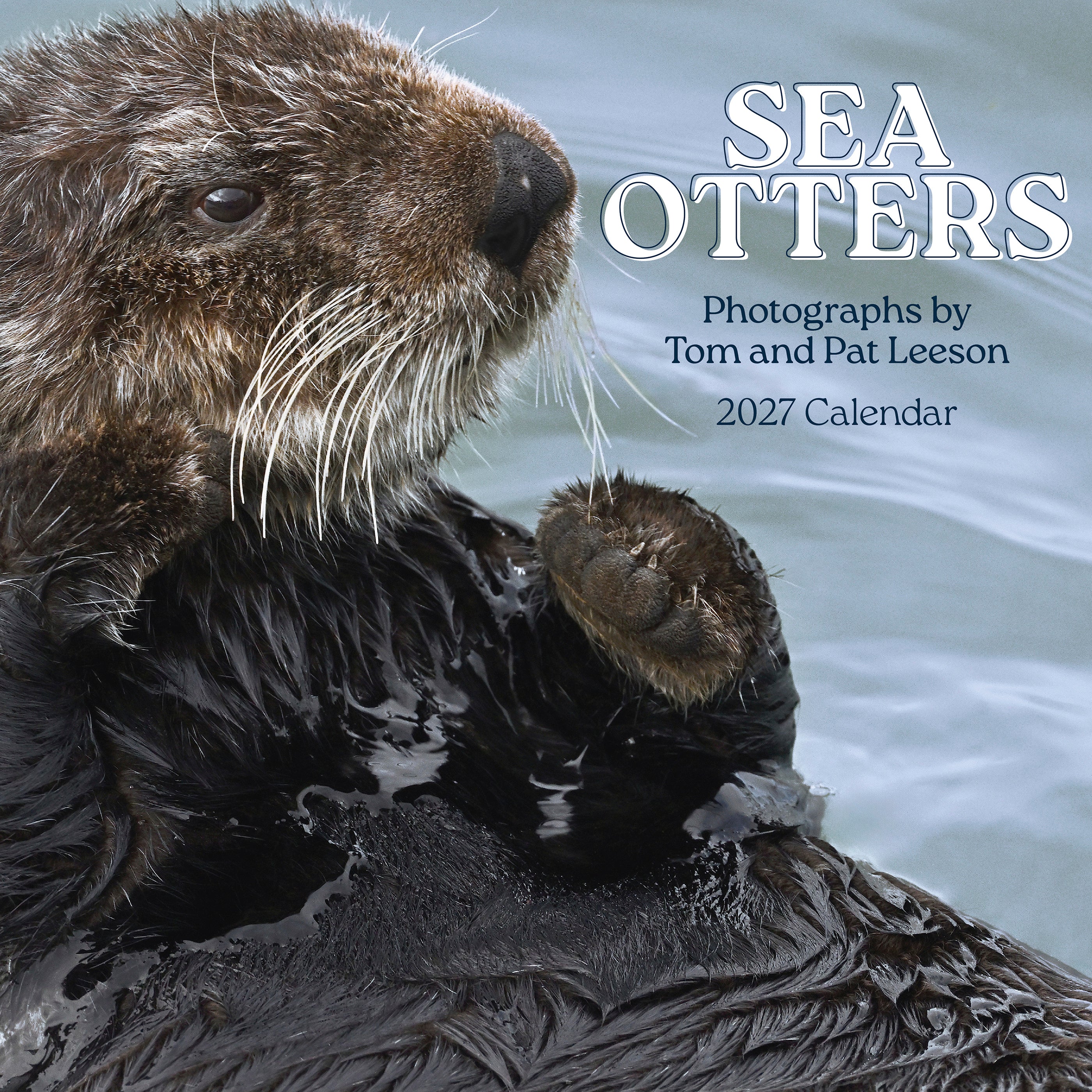 2027 Sea Otters - Square Wall Calendar