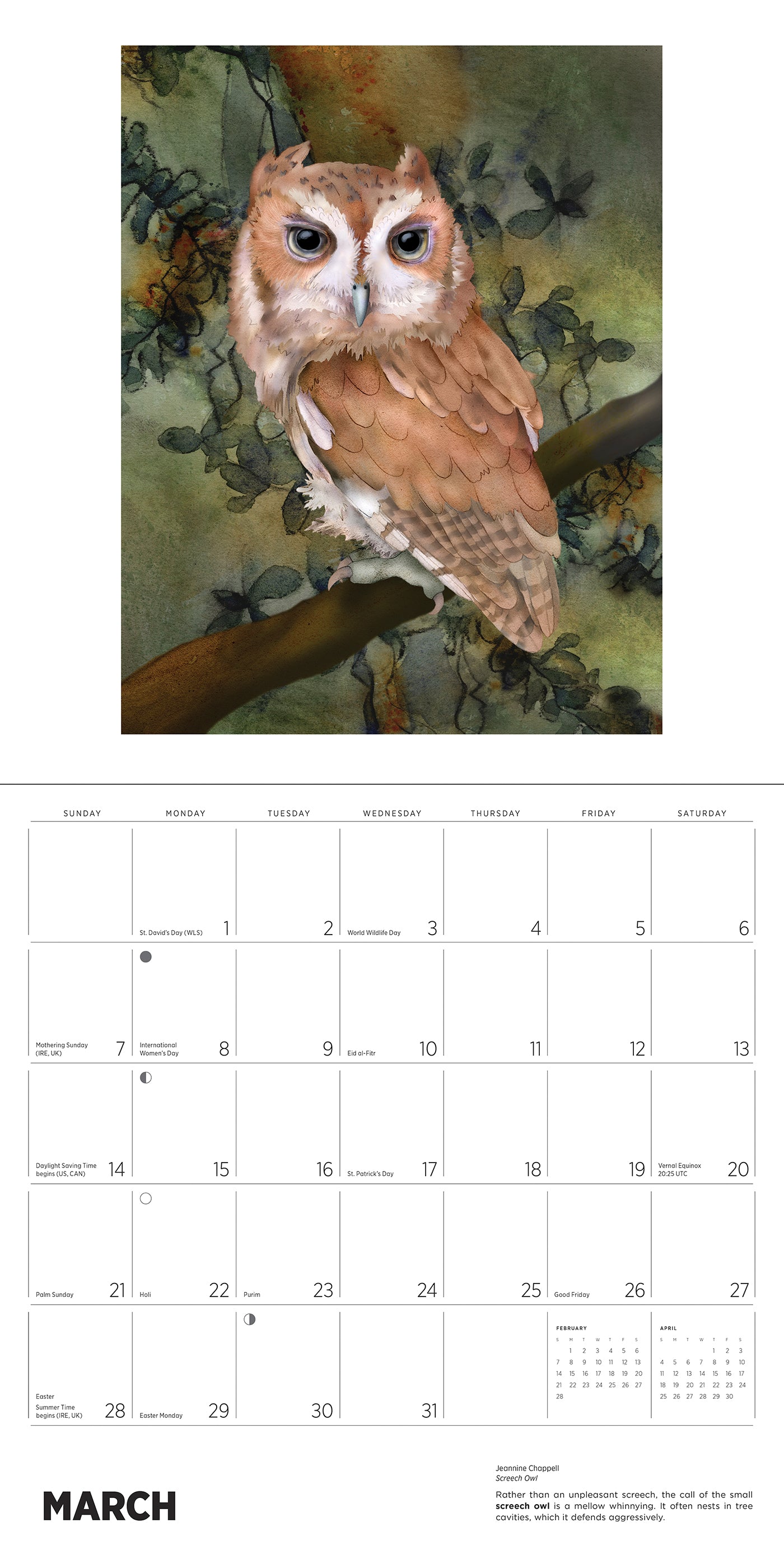 2027 Owls Jeannine Chappell - Square Wall Calendar