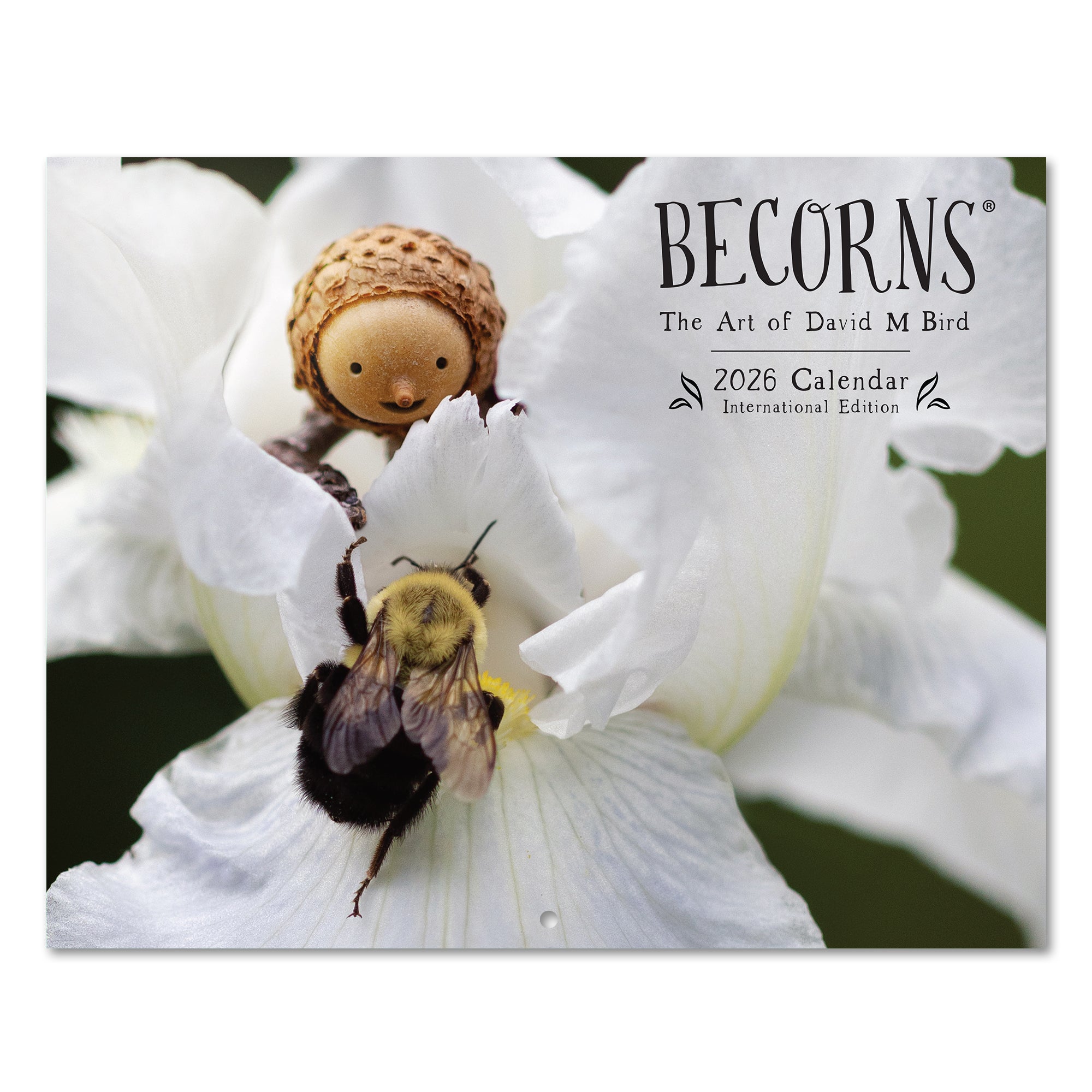 2026 Becorns The Art Of David M Bird - Horizontal Wall Calendar