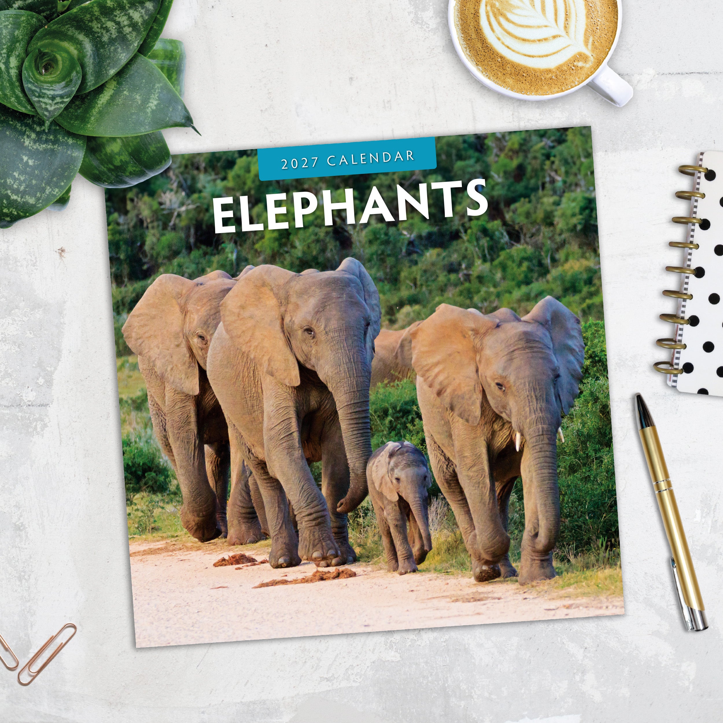 2027 Elephants - Square Wall Calendar