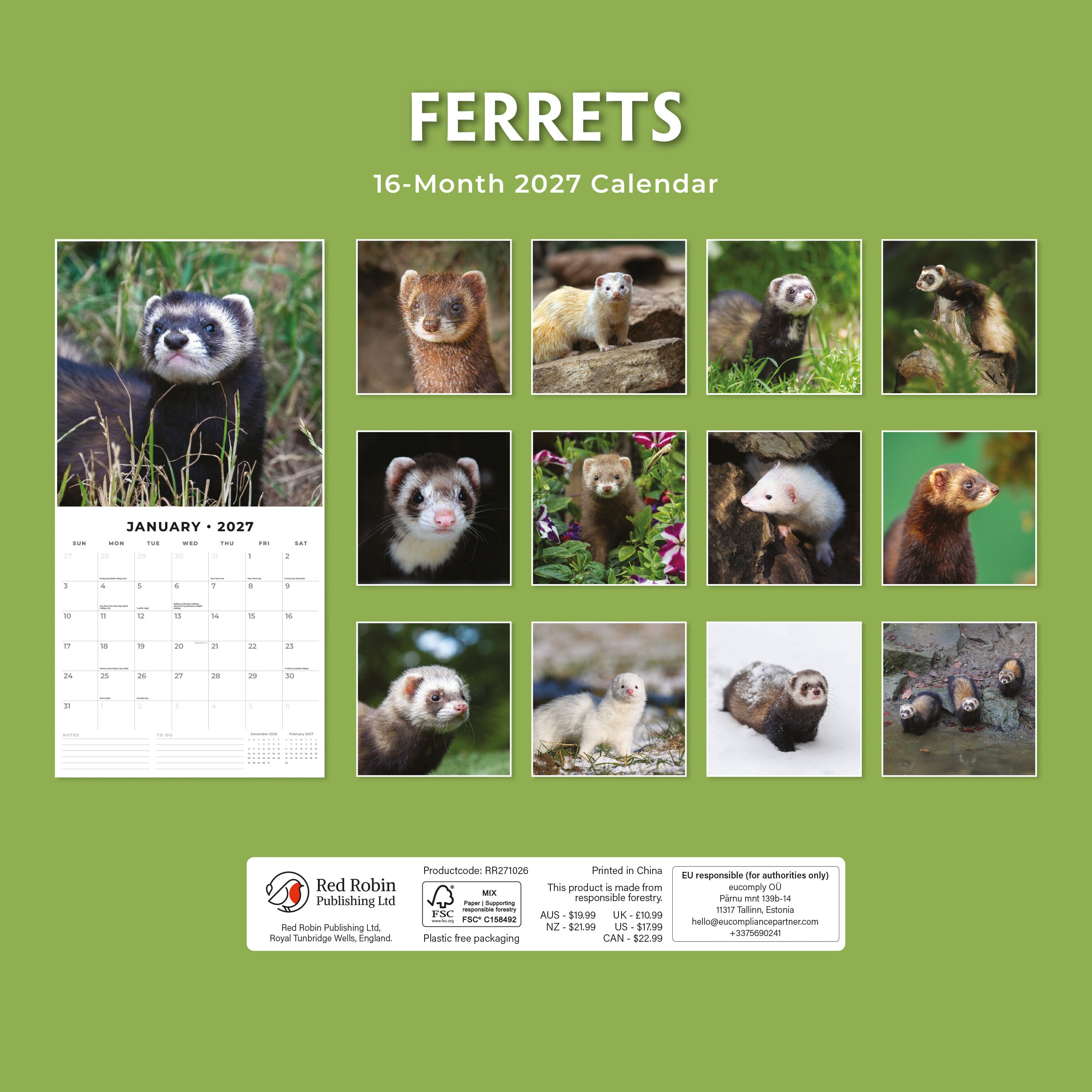 2027 Ferrets - Square Wall Calendar