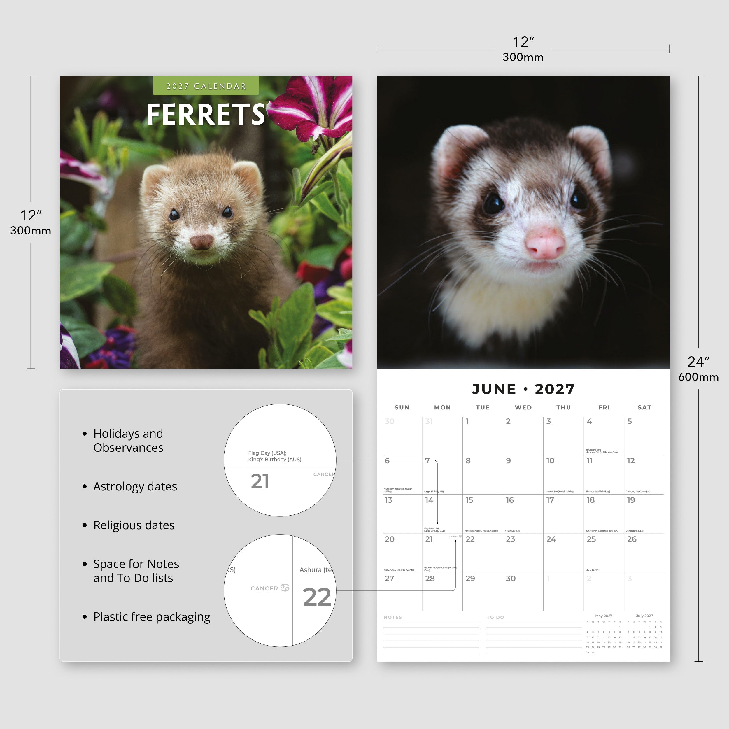 2027 Ferrets - Square Wall Calendar