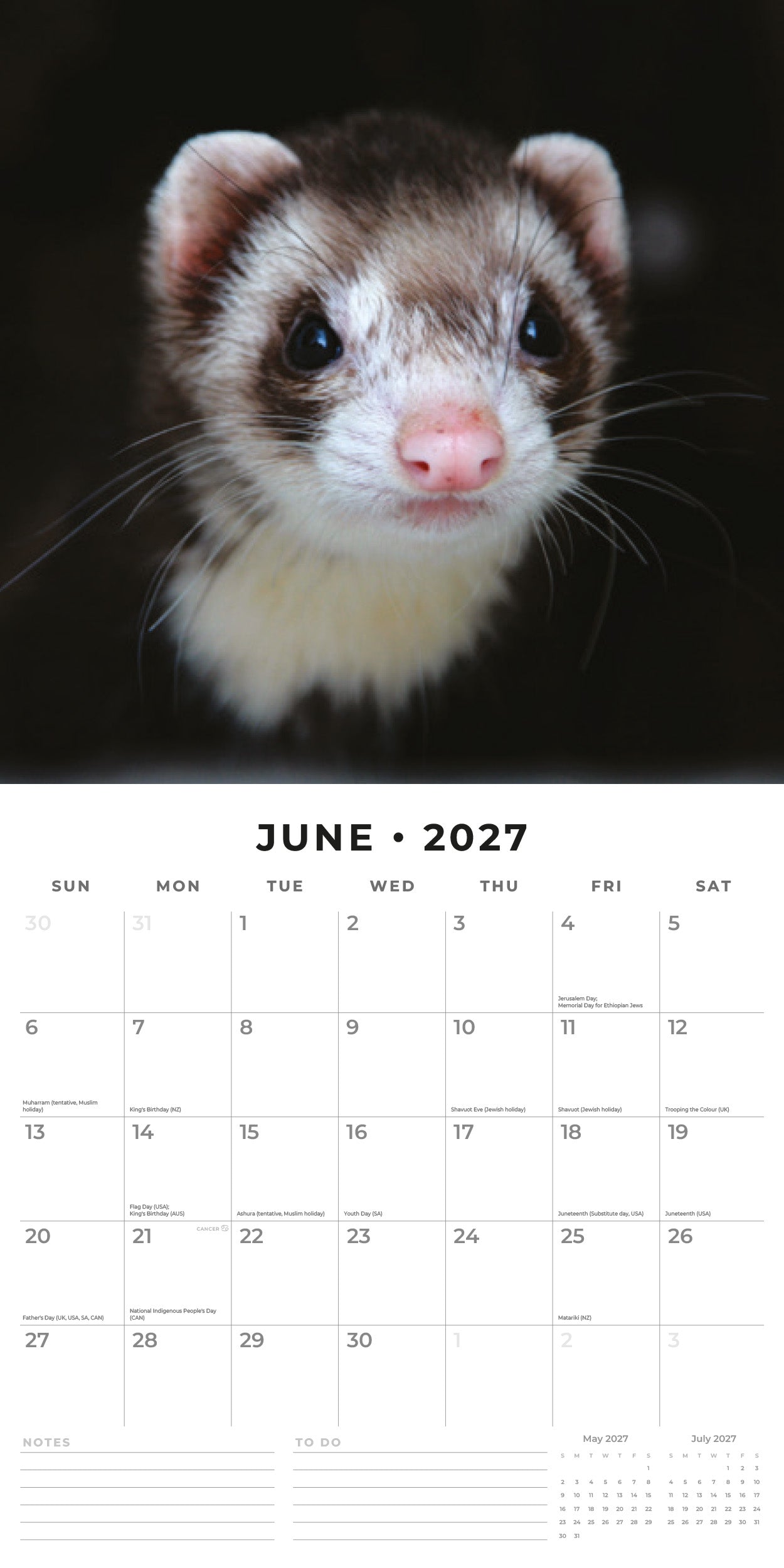 2027 Ferrets - Square Wall Calendar