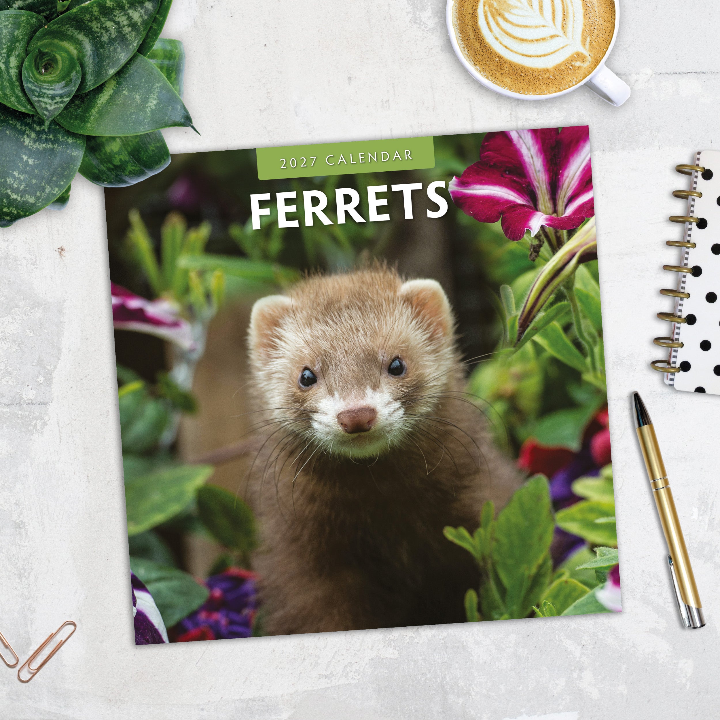2027 Ferrets - Square Wall Calendar