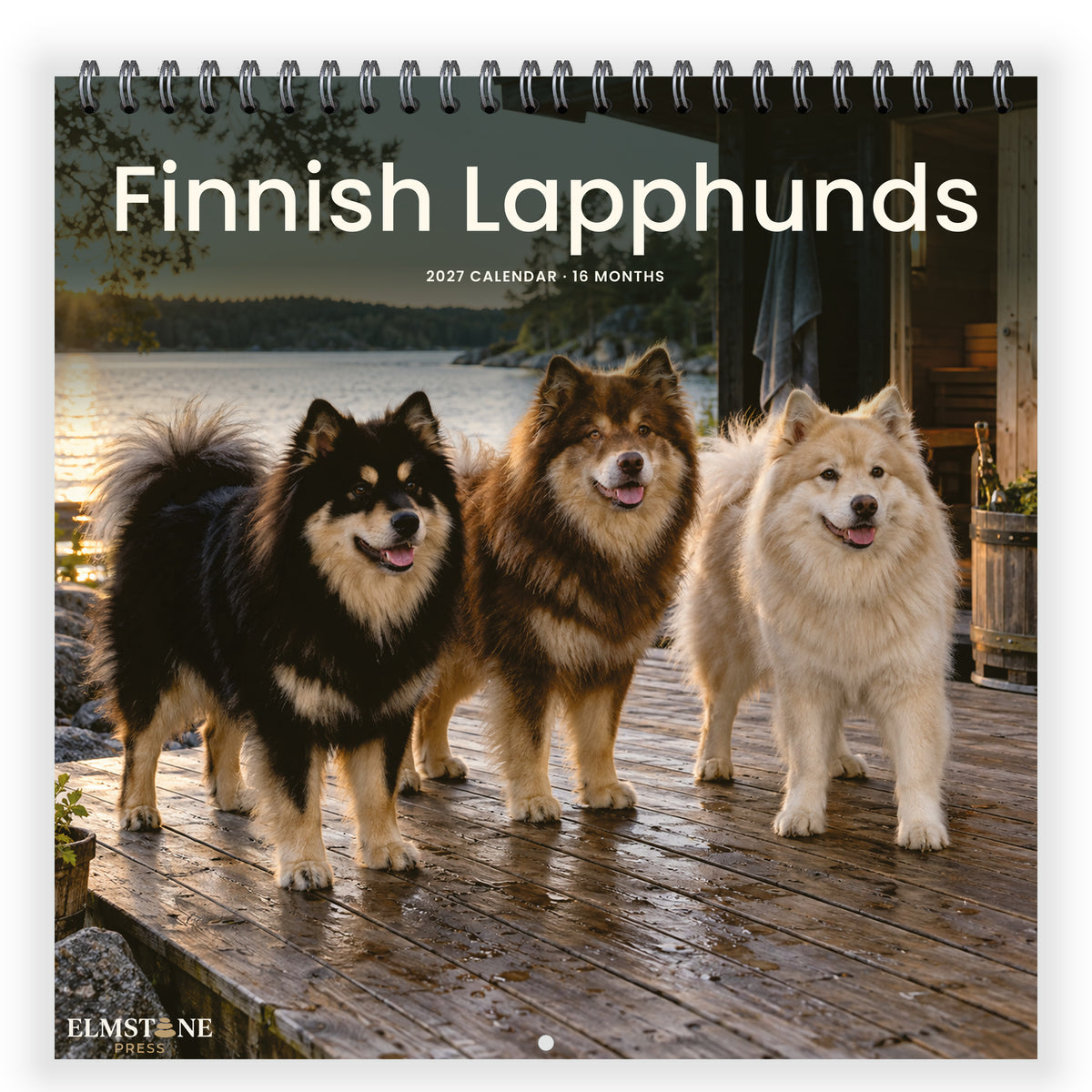 Finnish_Lapphunds_-_649310203093_-_01-front-cover-white.jpg