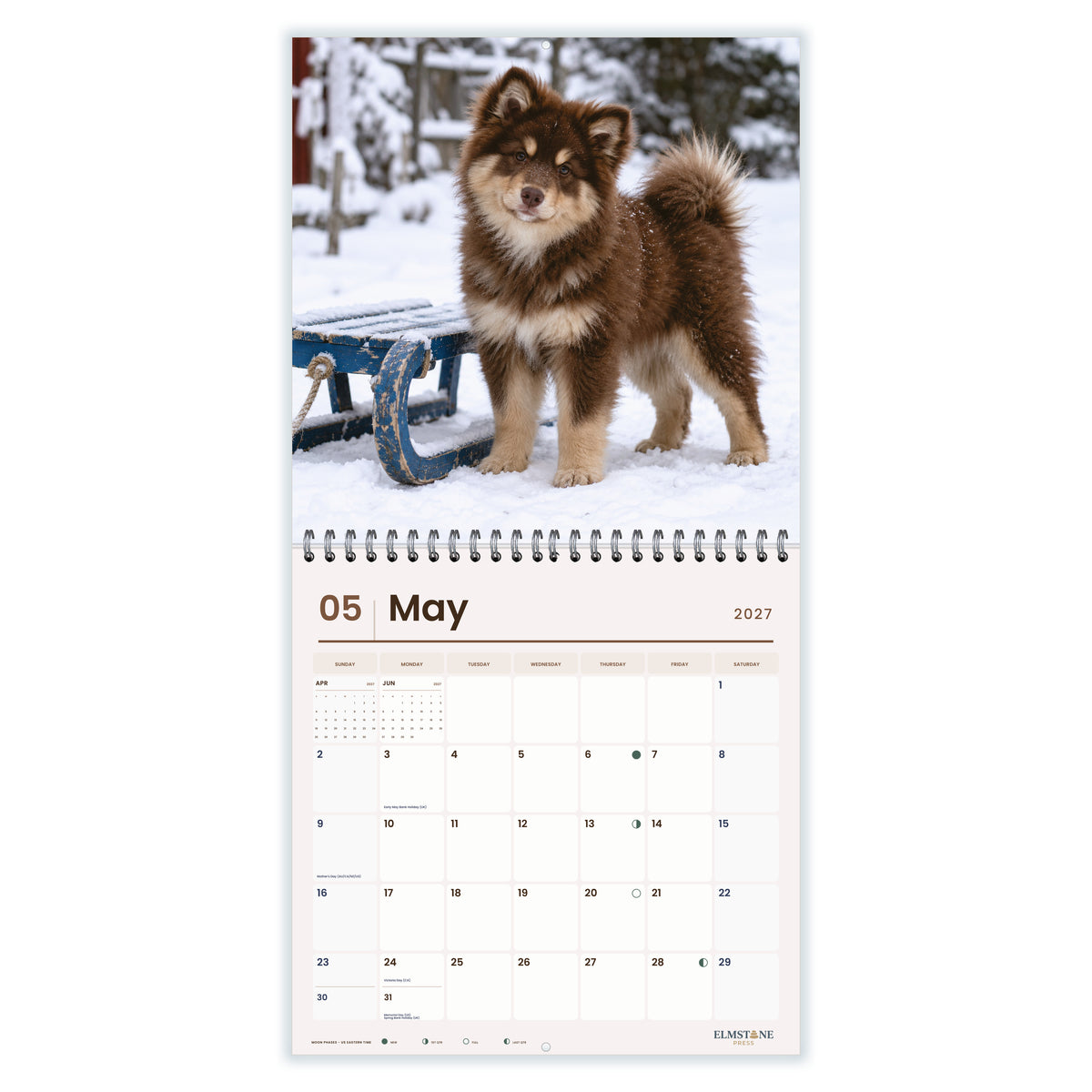 Finnish_Lapphunds_-_649310203093_-_03-may-open-white.jpg
