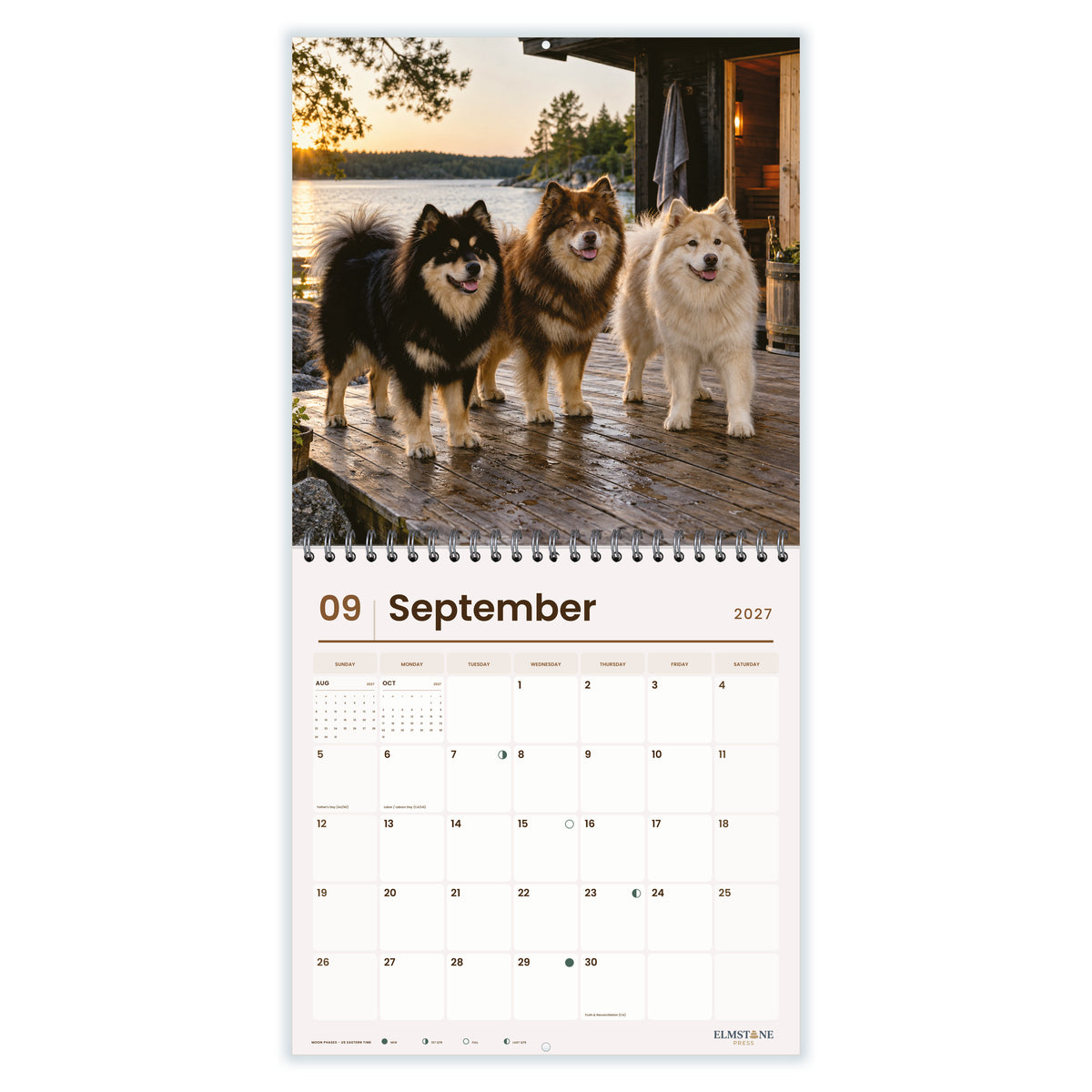 Finnish_Lapphunds_-_649310203093_-_04-september-open-white.jpg