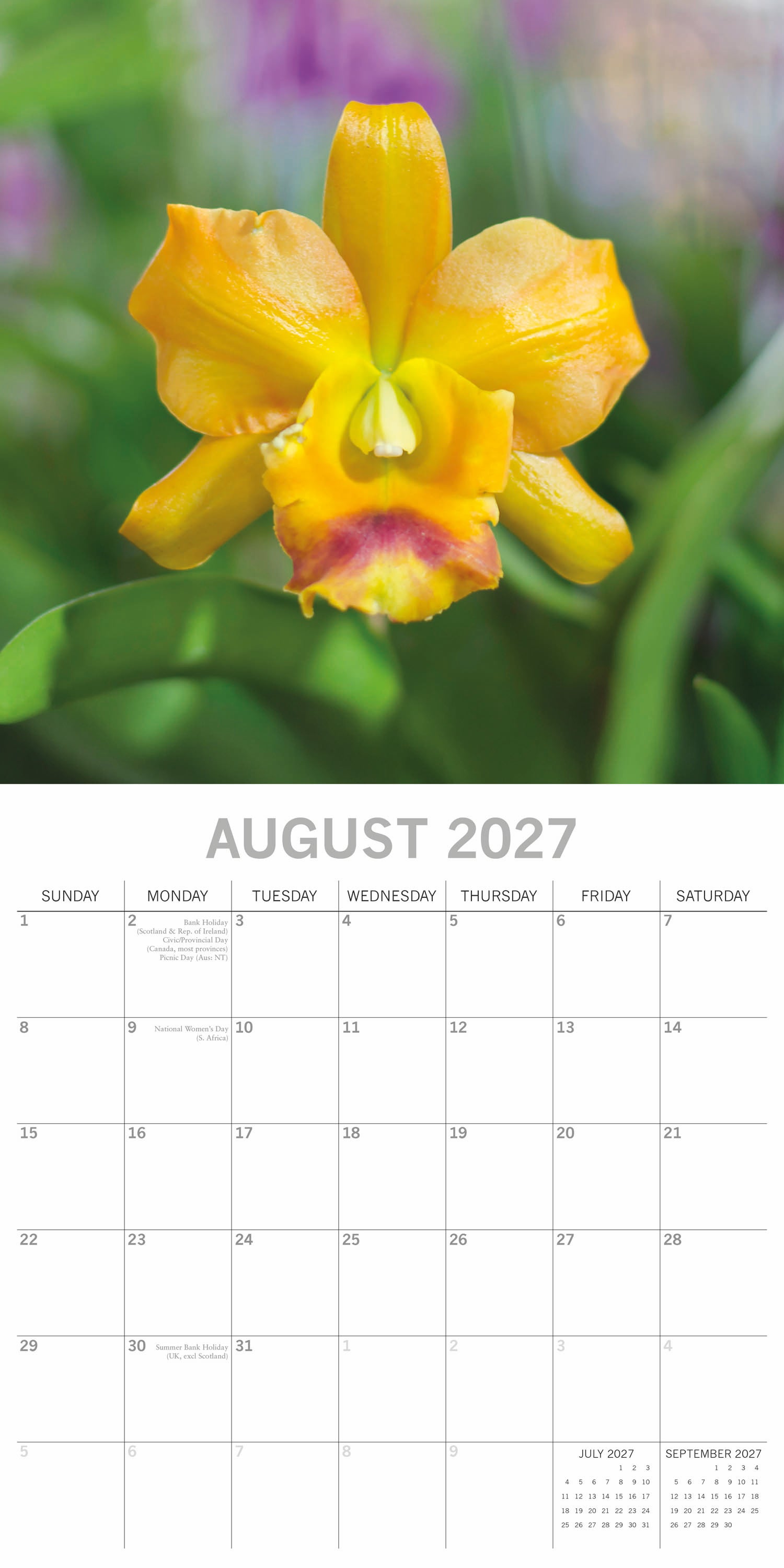 Floral_Orchids_2027_Aug.jpg