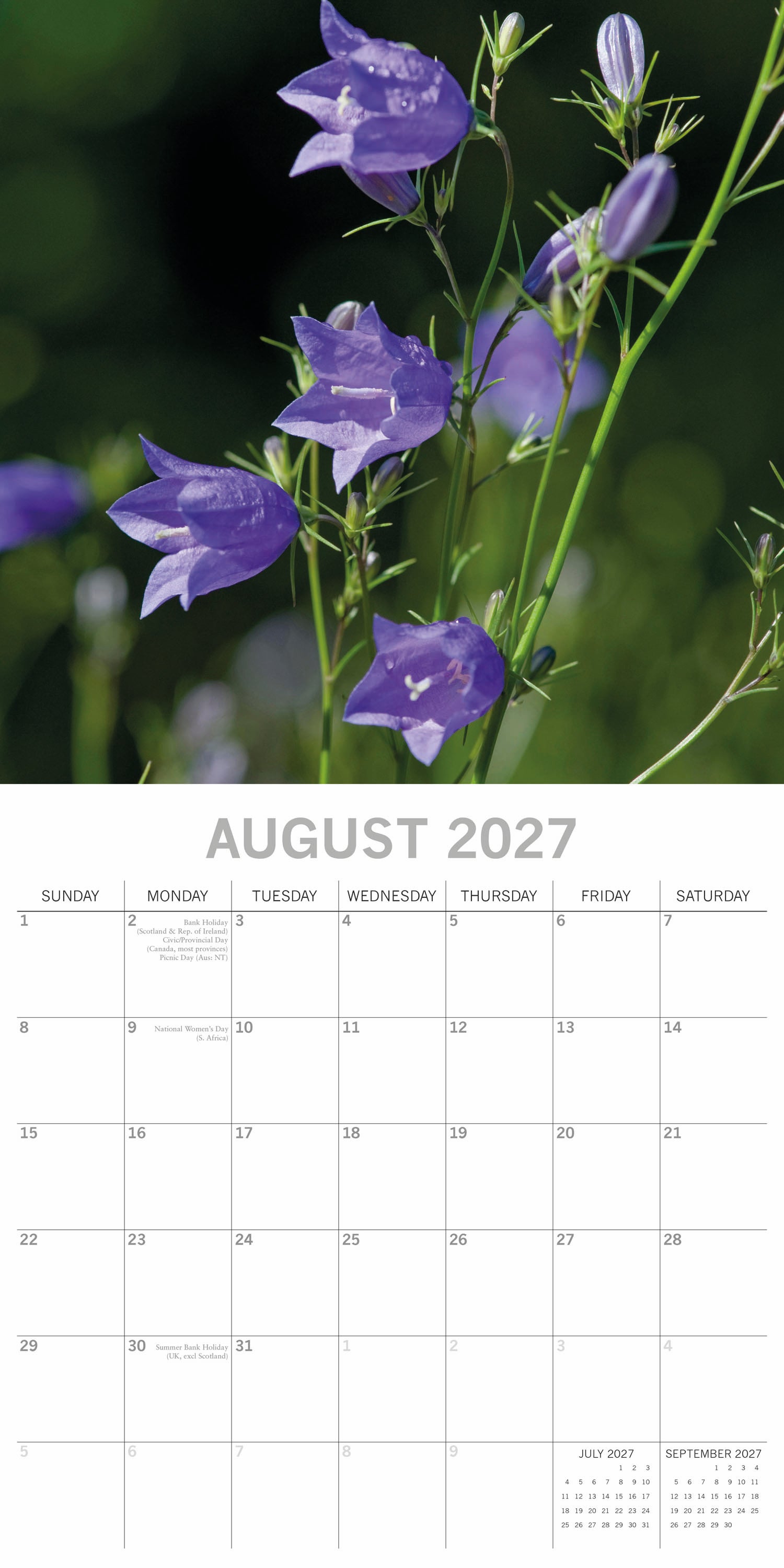 Floral_Wild_Flowers_2027_Aug.jpg