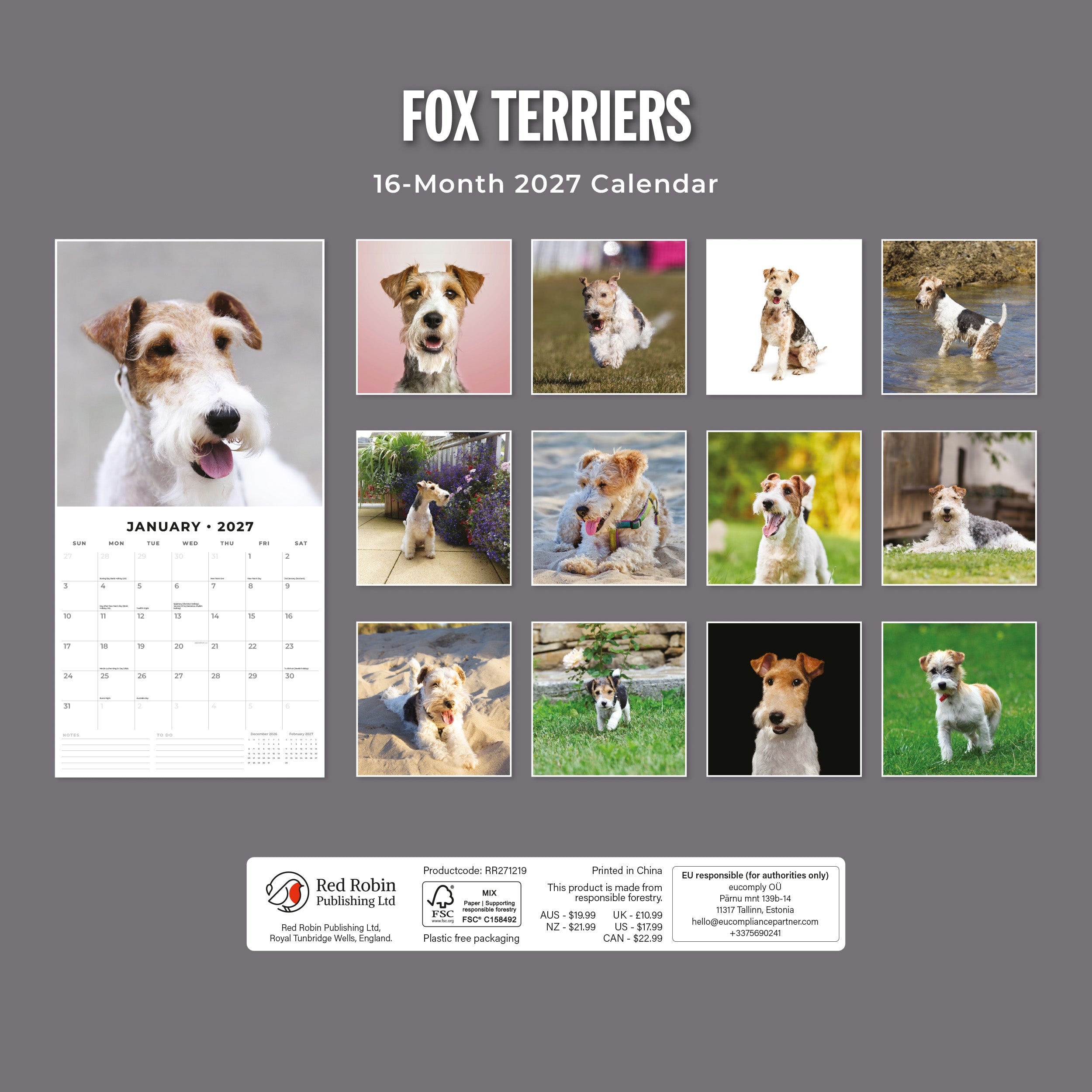 2027 Fox Terriers - Square Wall Calendar