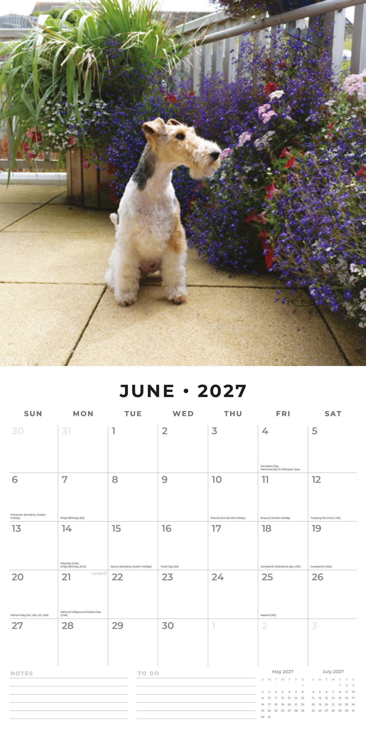 2027 Fox Terriers - Square Wall Calendar