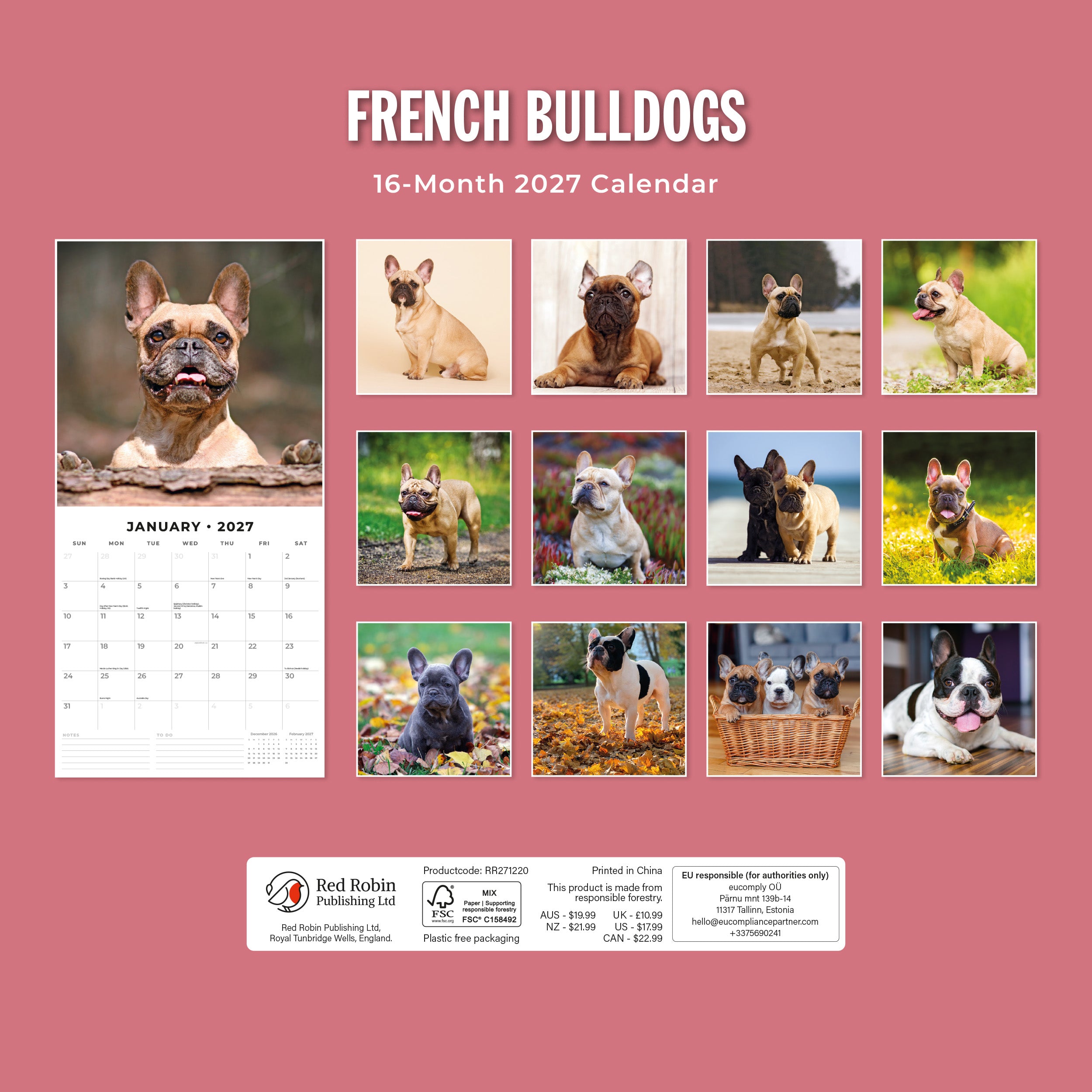 2027 French Bulldogs - Square Wall Calendar