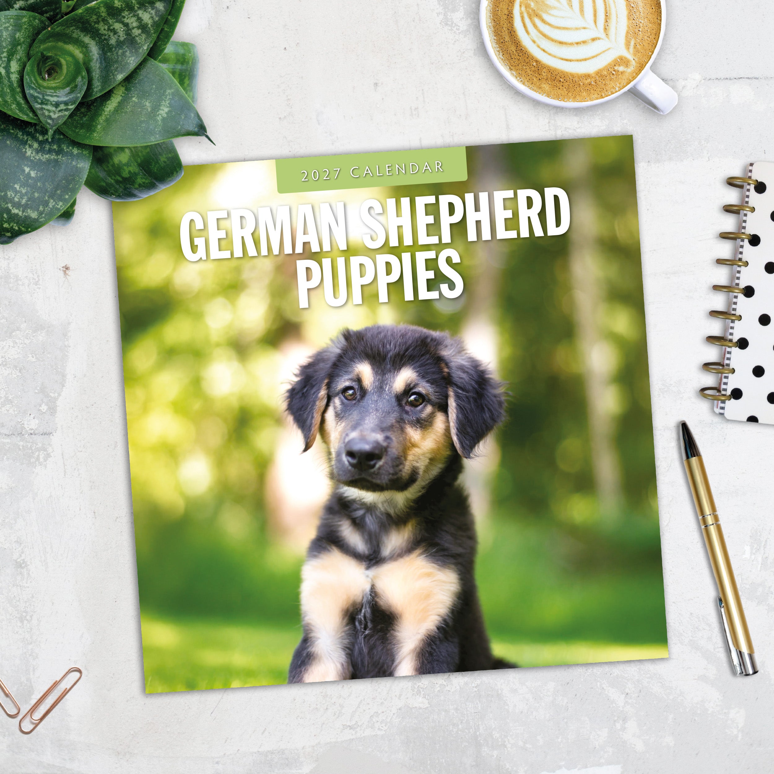 2027 German Shepherd Puppies - Square Wall Calendar