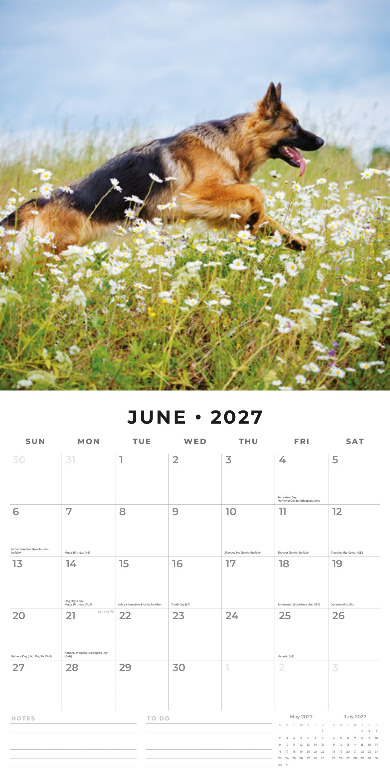 2027 German Shepherds - Square Wall Calendar