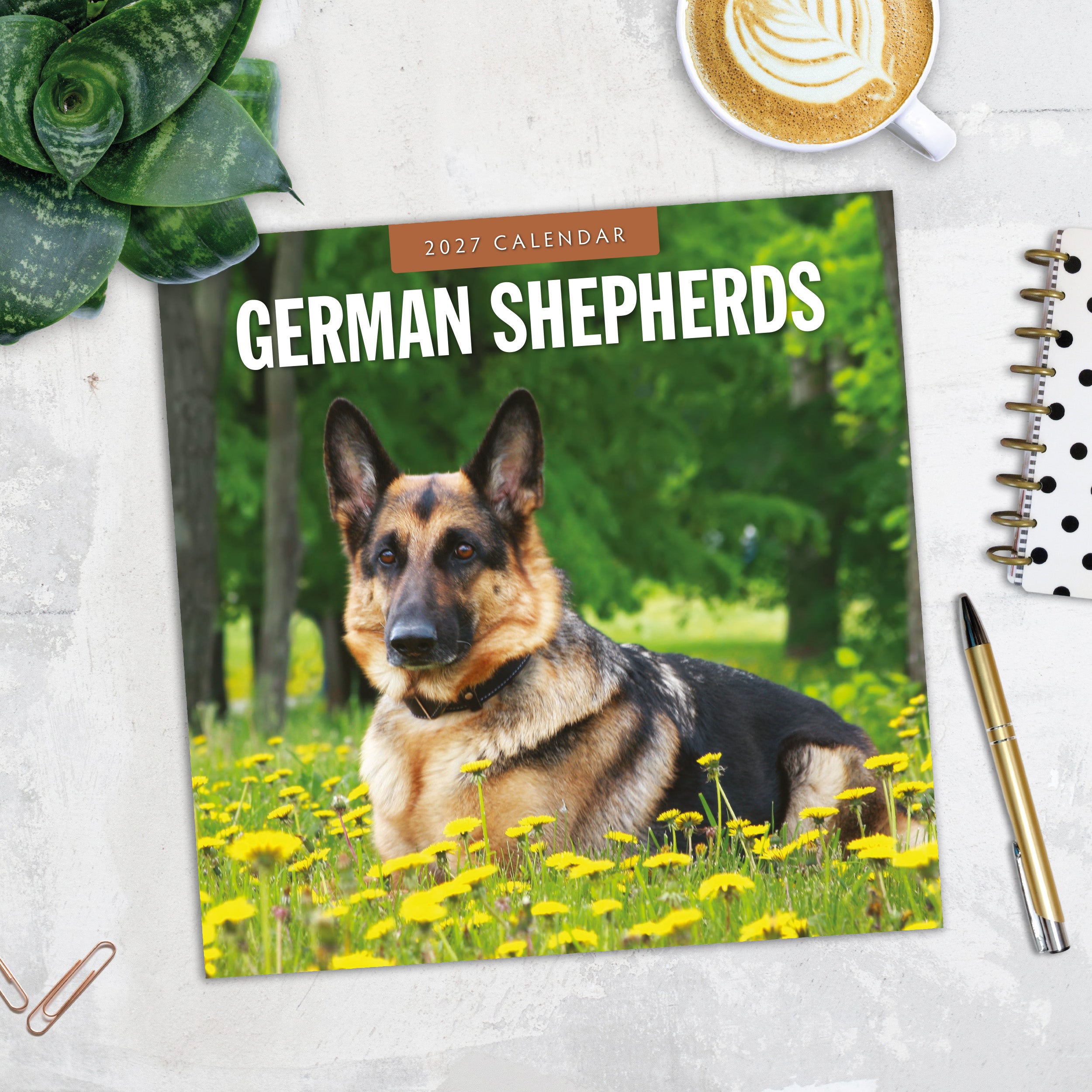 2027 German Shepherds - Square Wall Calendar
