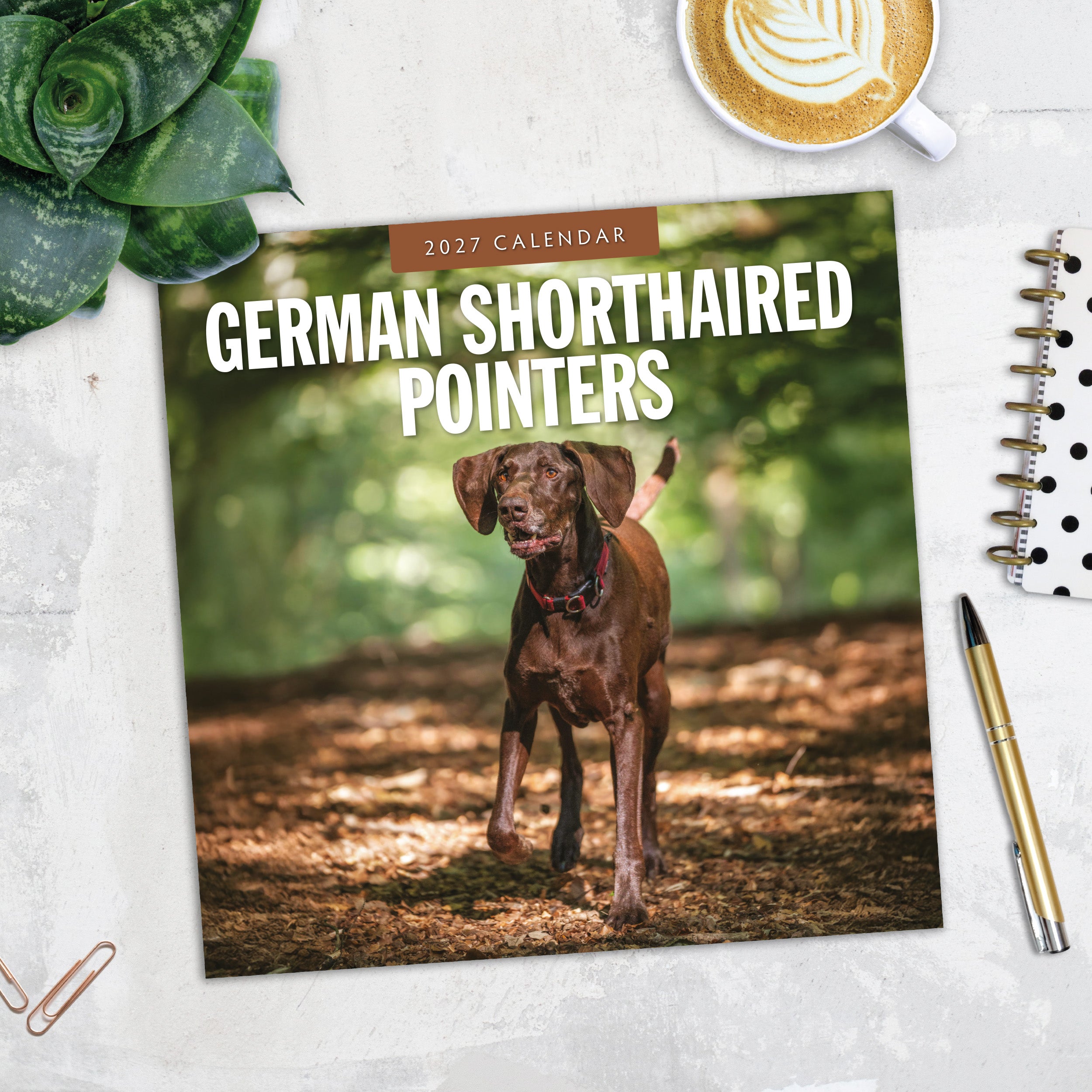 2027 German Shorthaired Pointers - Square Wall Calendar