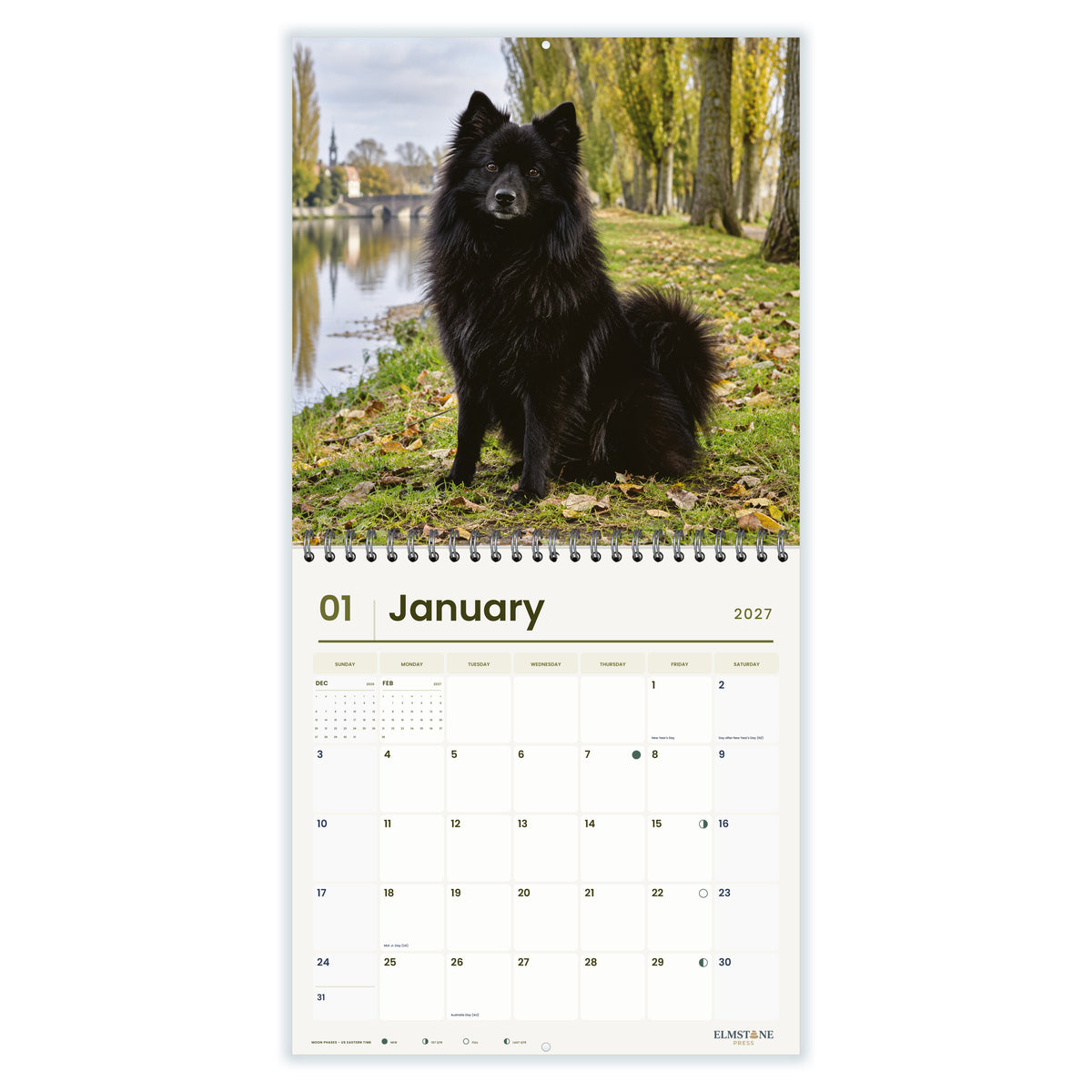 German_Spitz_-_649310203109_-_02-january-open-white.jpg