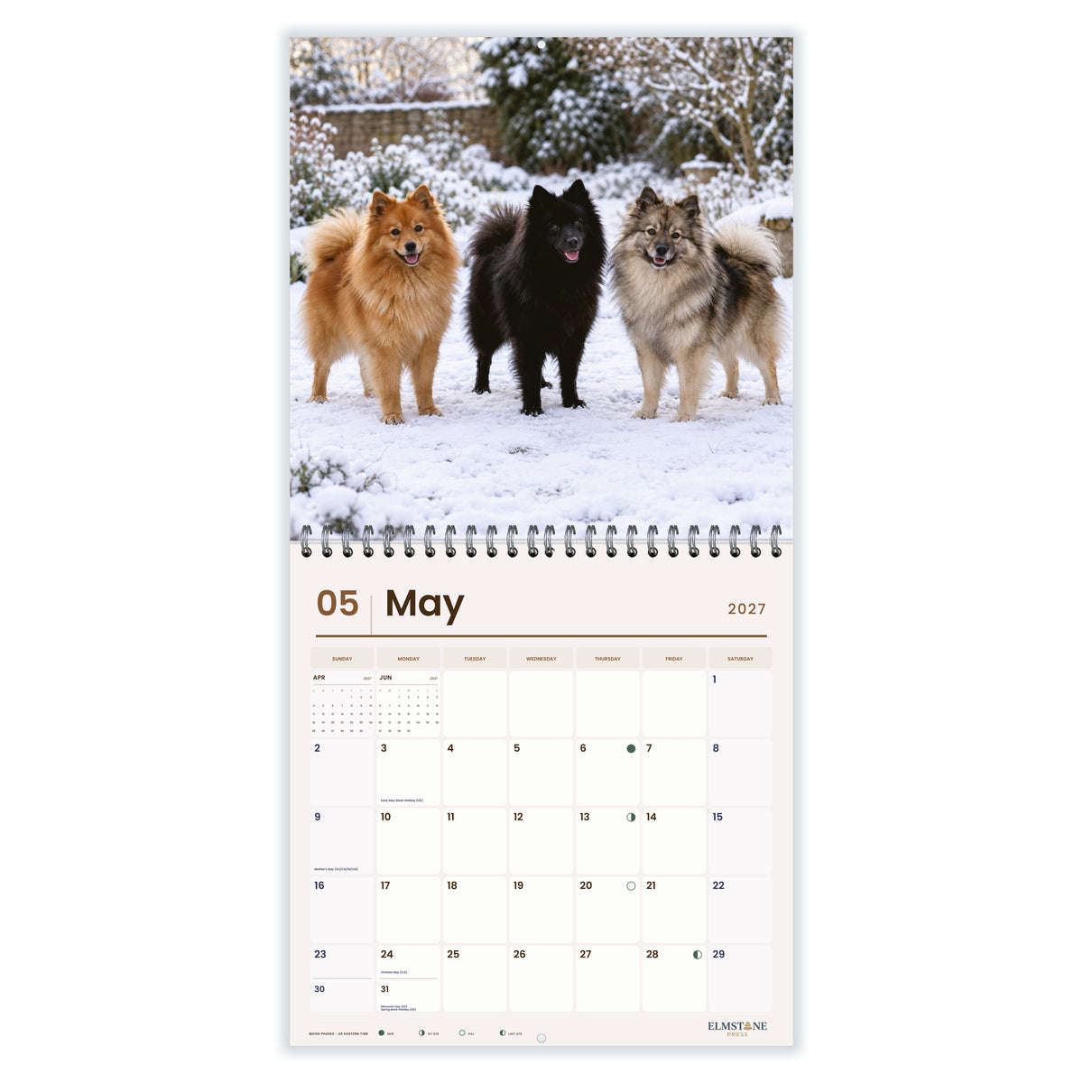 German_Spitz_-_649310203109_-_03-may-open-white.jpg