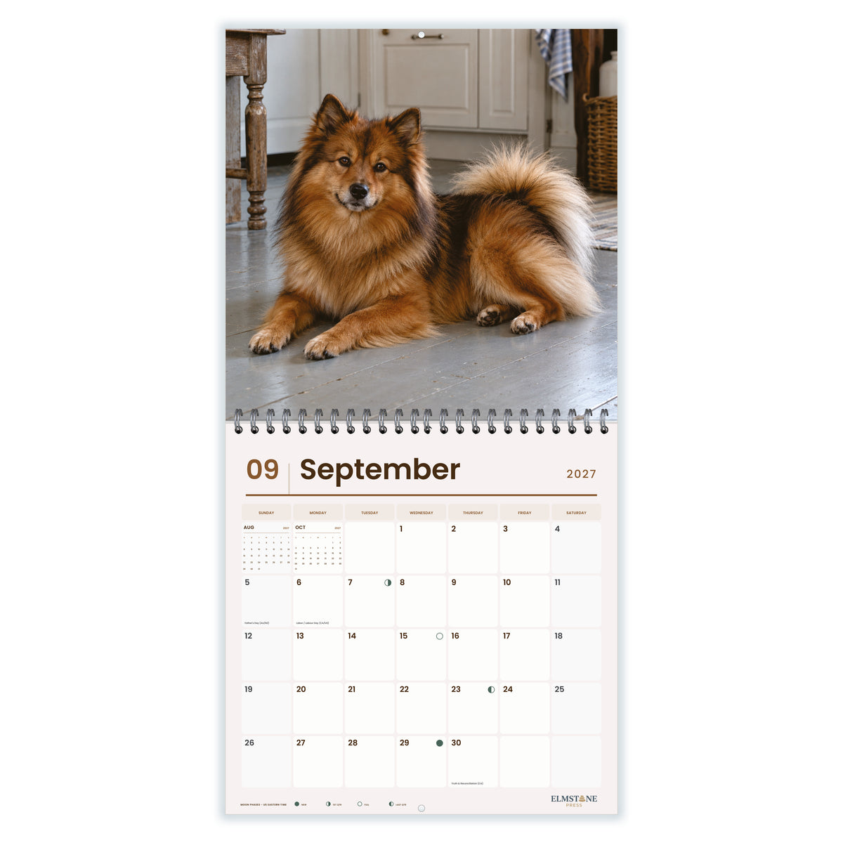 German_Spitz_-_649310203109_-_04-september-open-white.jpg