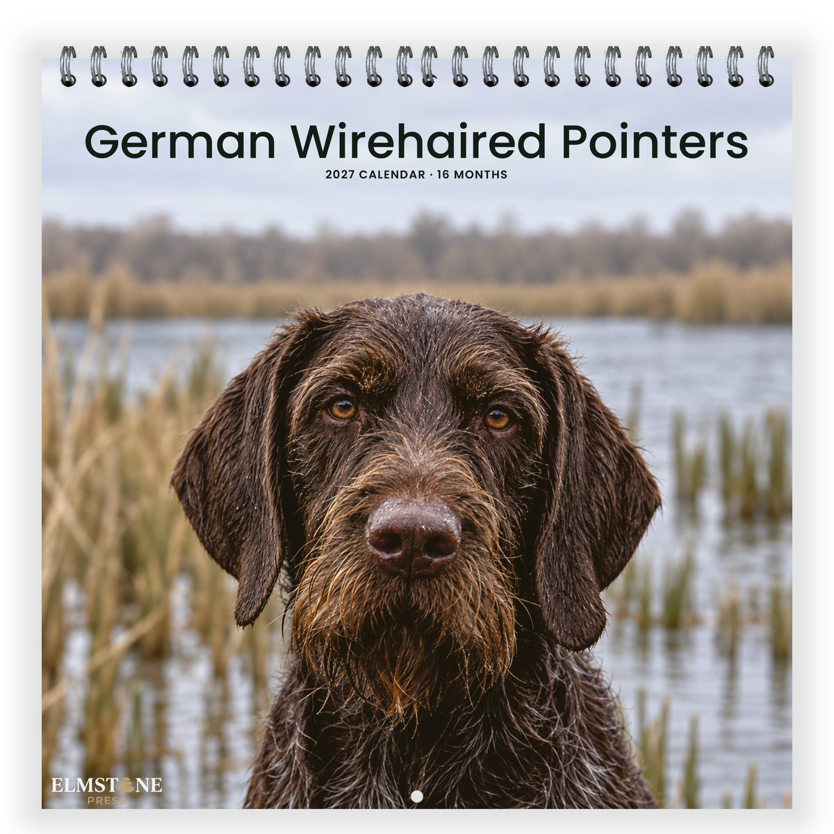 German_Wirehaired_Pointers_-_649310203376_-_01-front-cover-white.jpg