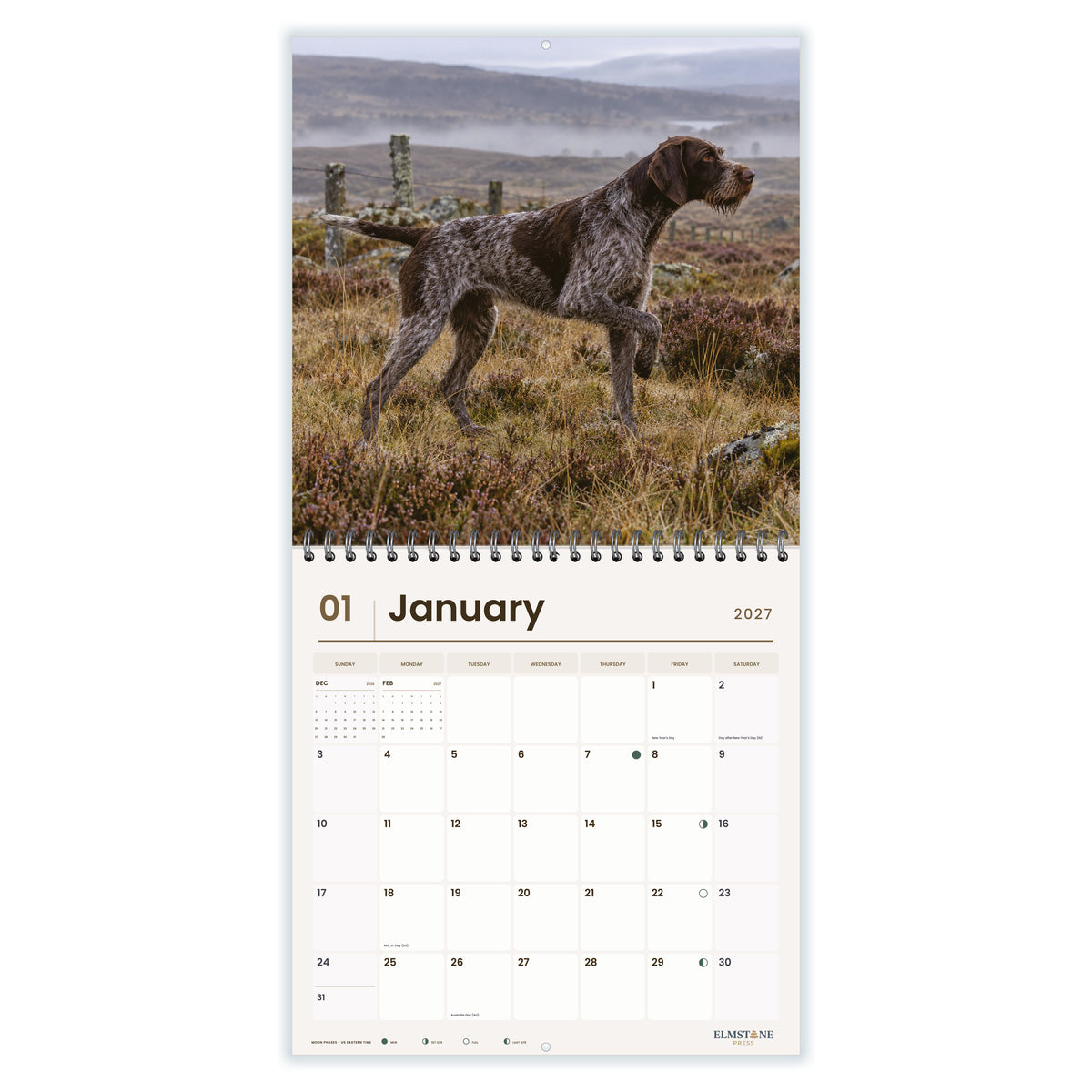 German_Wirehaired_Pointers_-_649310203376_-_02-january-open-white.jpg