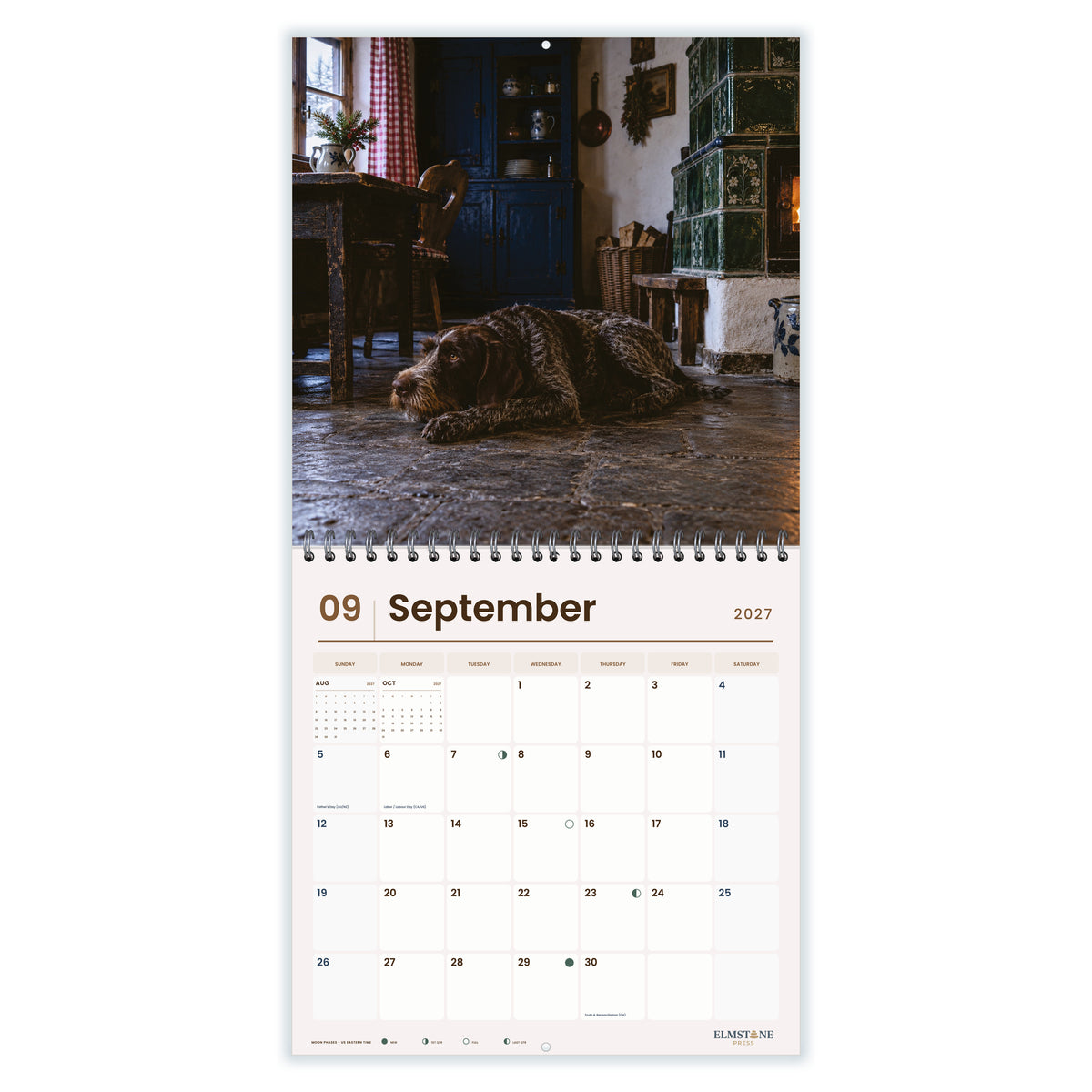 German_Wirehaired_Pointers_-_649310203376_-_04-september-open-white.jpg