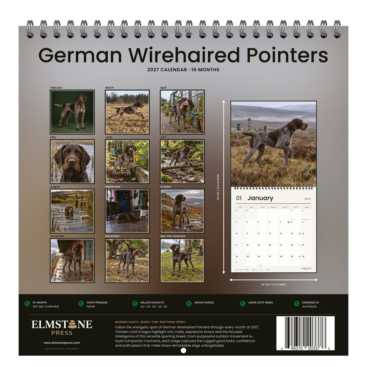 German_Wirehaired_Pointers_-_649310203376_-_05-back-cover-white.jpg