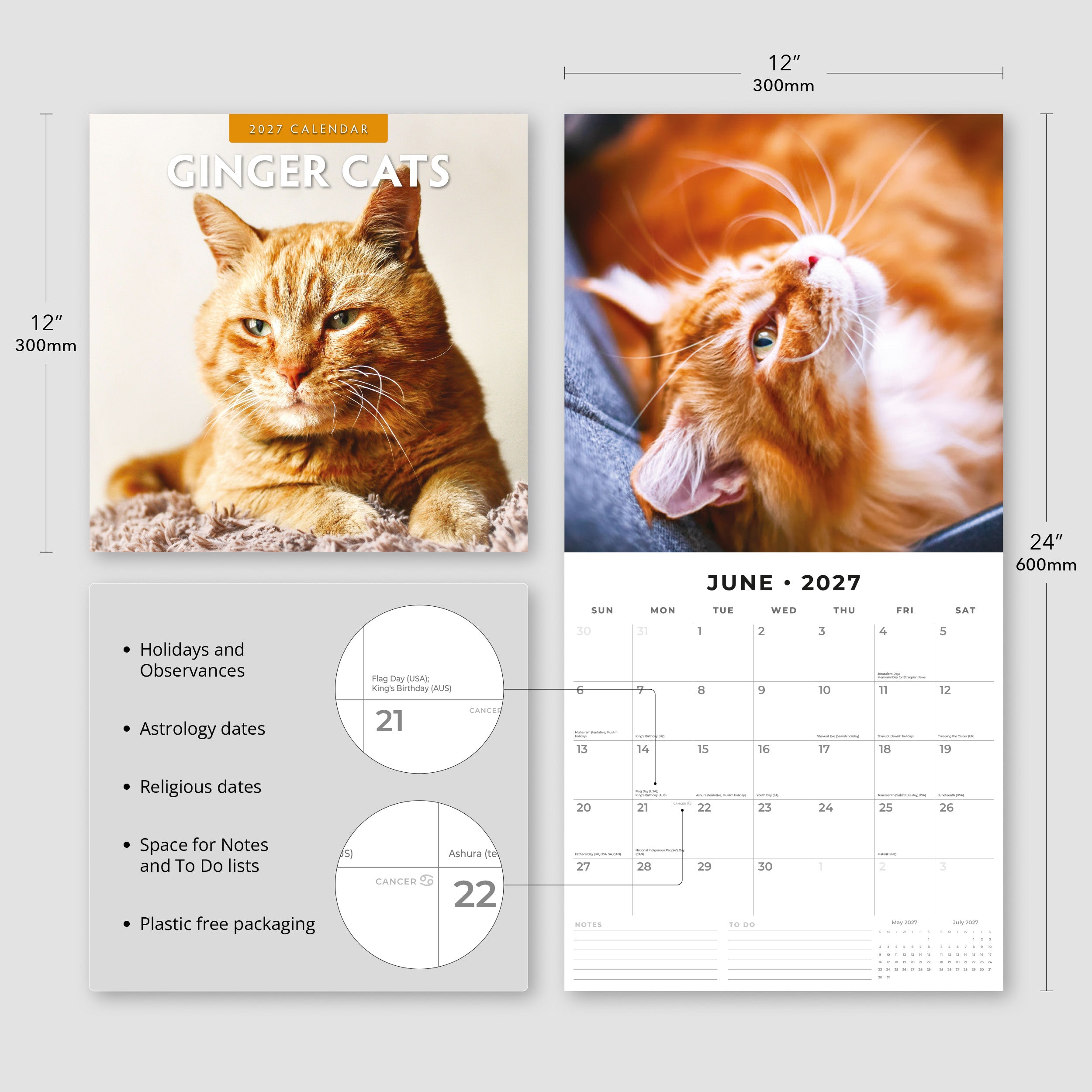 2027 Ginger Cats - Square Wall Calendar