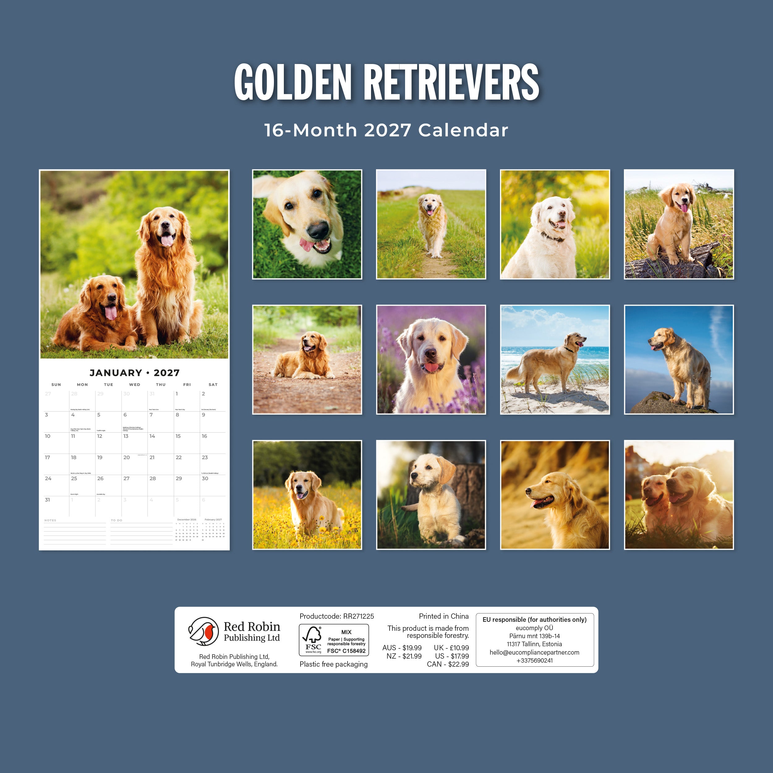 2027 Golden Retrievers - Square Wall Calendar