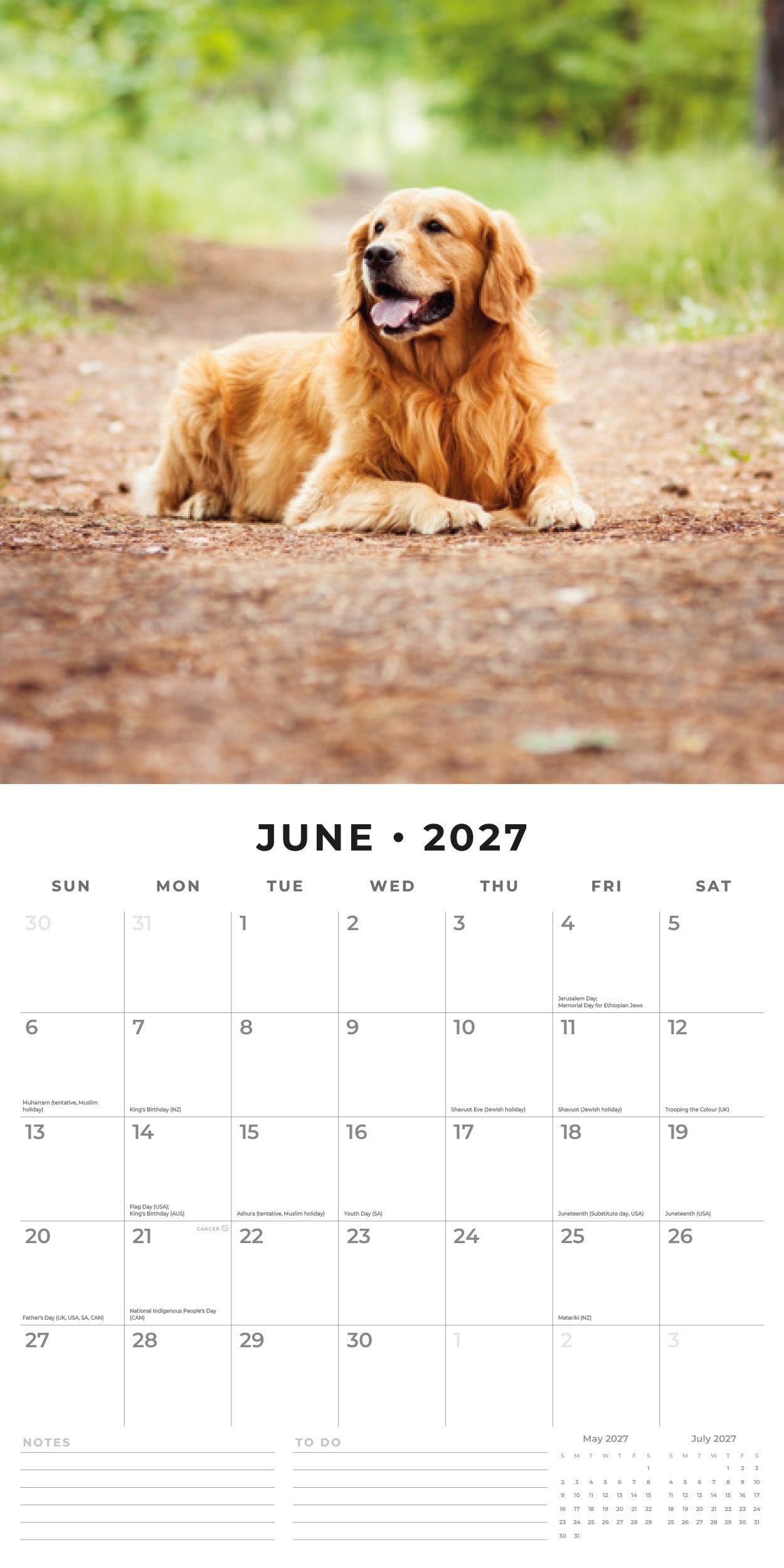 2027 Golden Retrievers - Square Wall Calendar