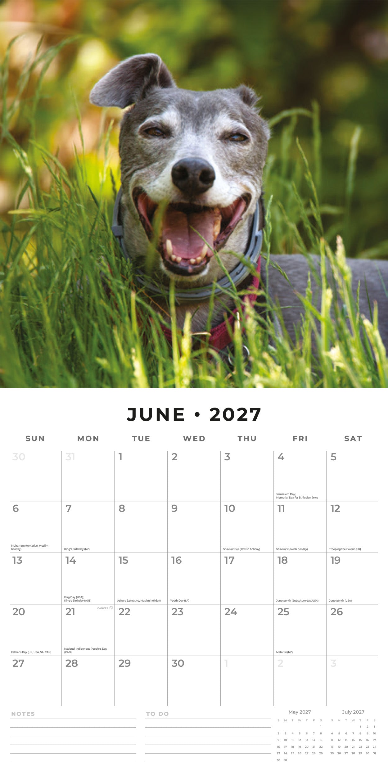 2027 Greyhounds - Square Wall Calendar