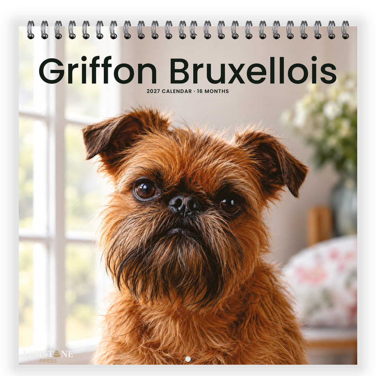 Griffon_Bruxellois_-_649310203116_-_01-front-cover-white.jpg