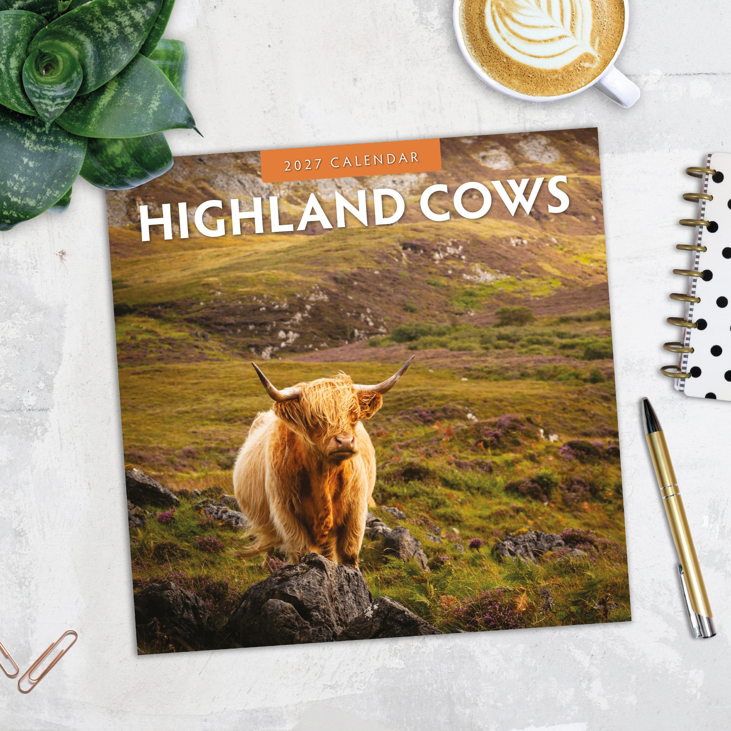 2027 Highland Cows - Square Wall Calendar