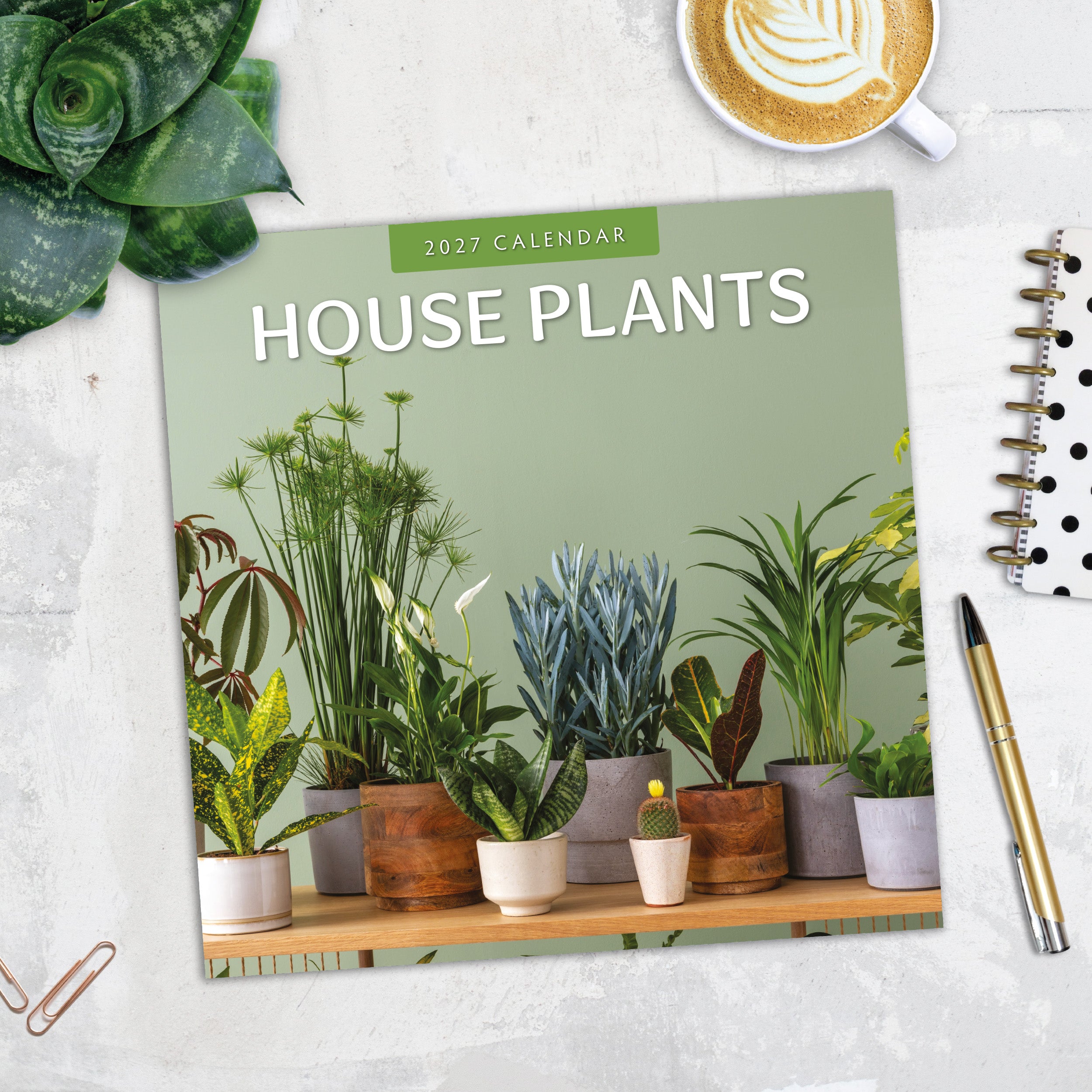 2027 House Plants - Square Wall Calendar