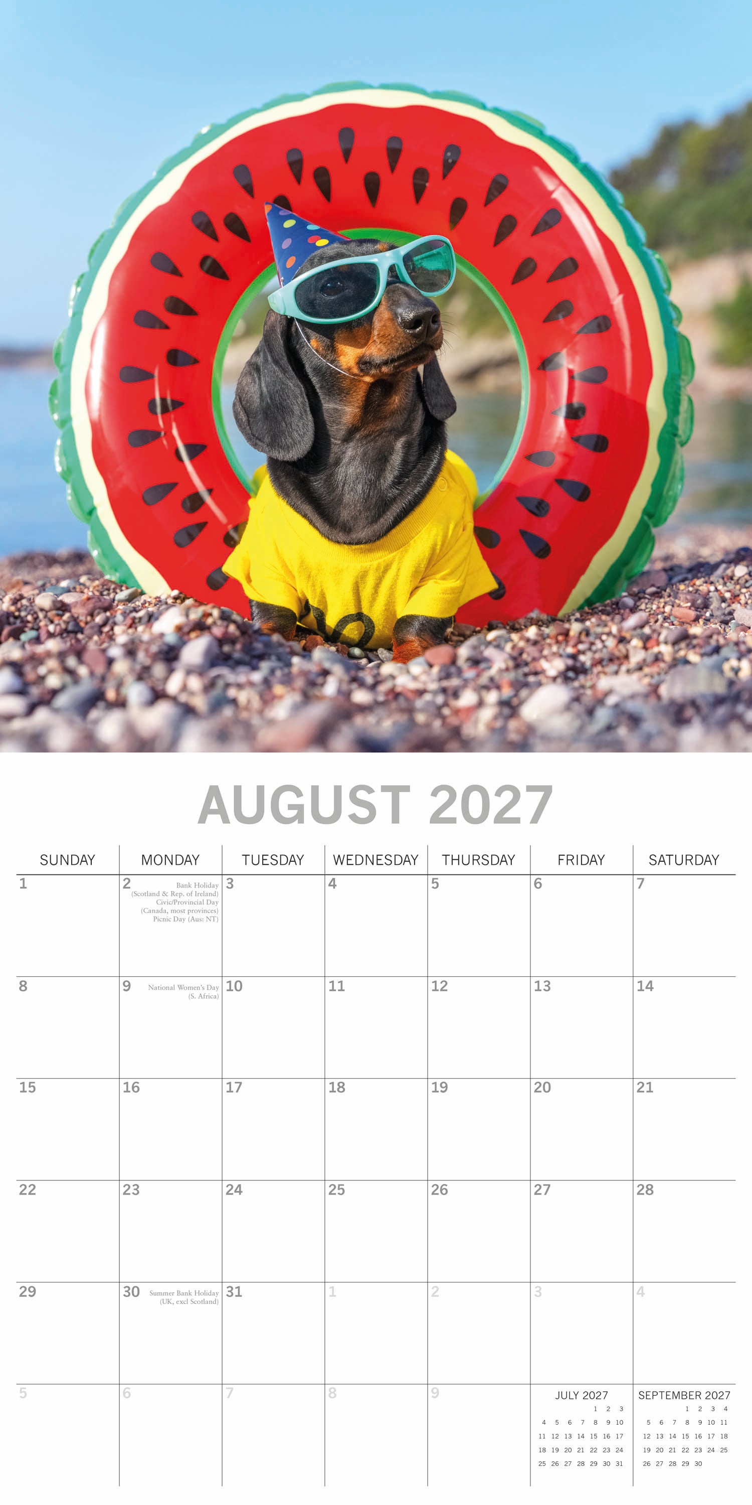 Humour_Dogs_in_Disguise_2027_Aug.jpg