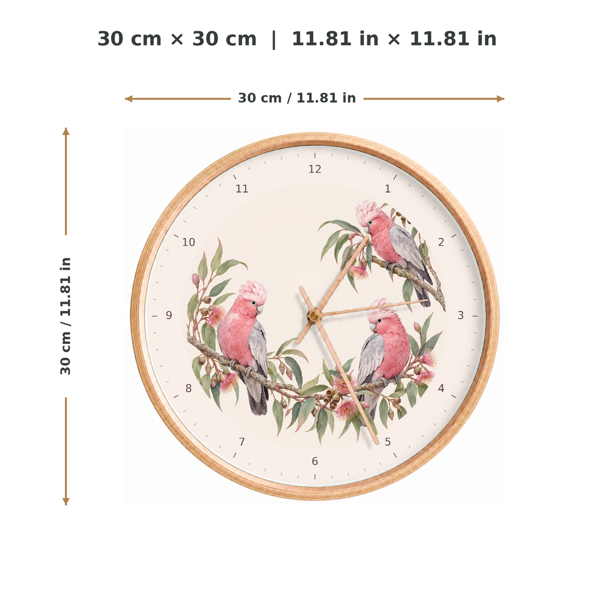 IMAGE_05_Measurements_-_Galah_Bird_Wall_Clock_30cm_Wooden_Frame_-_WC-U029_-_649310203772.png