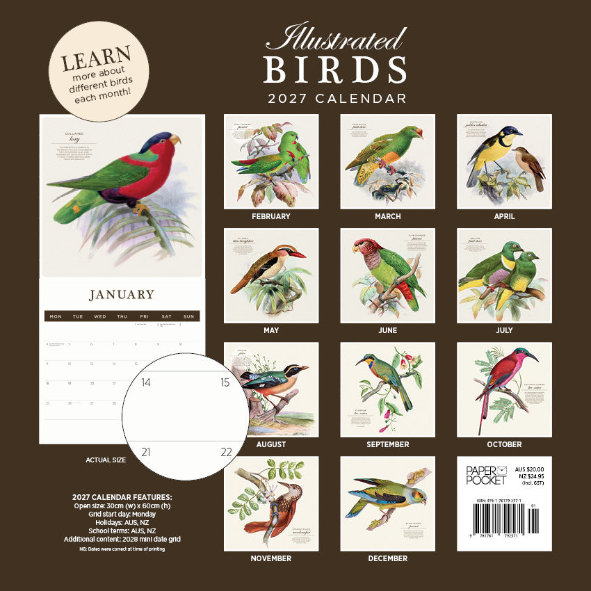2027 Illustrated Birds - Square Wall Calendar