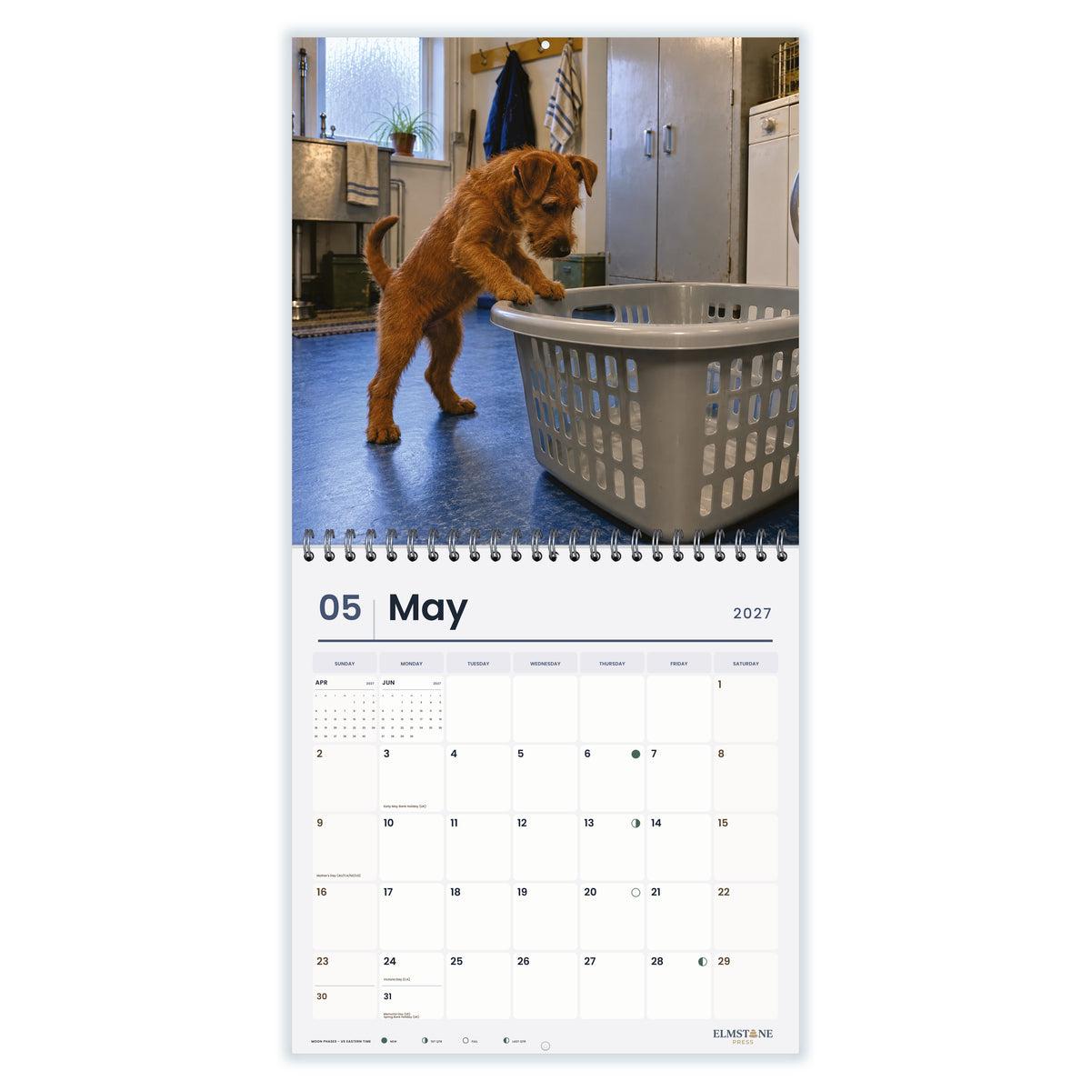 Irish_Terriers_-_649310203383_-_03-may-open-white.jpg