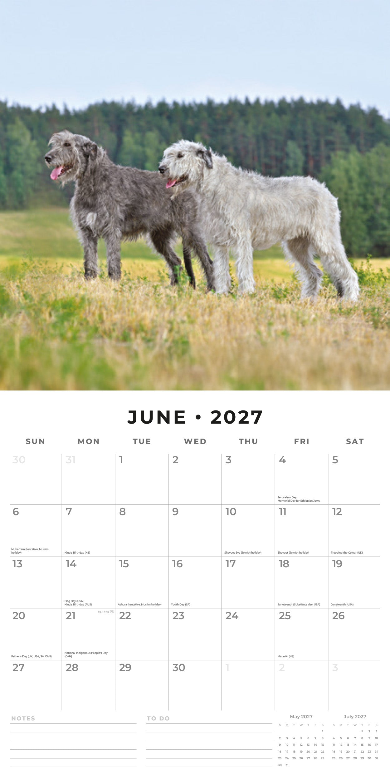 2027 Irish Wolf Hounds - Square Wall Calendar