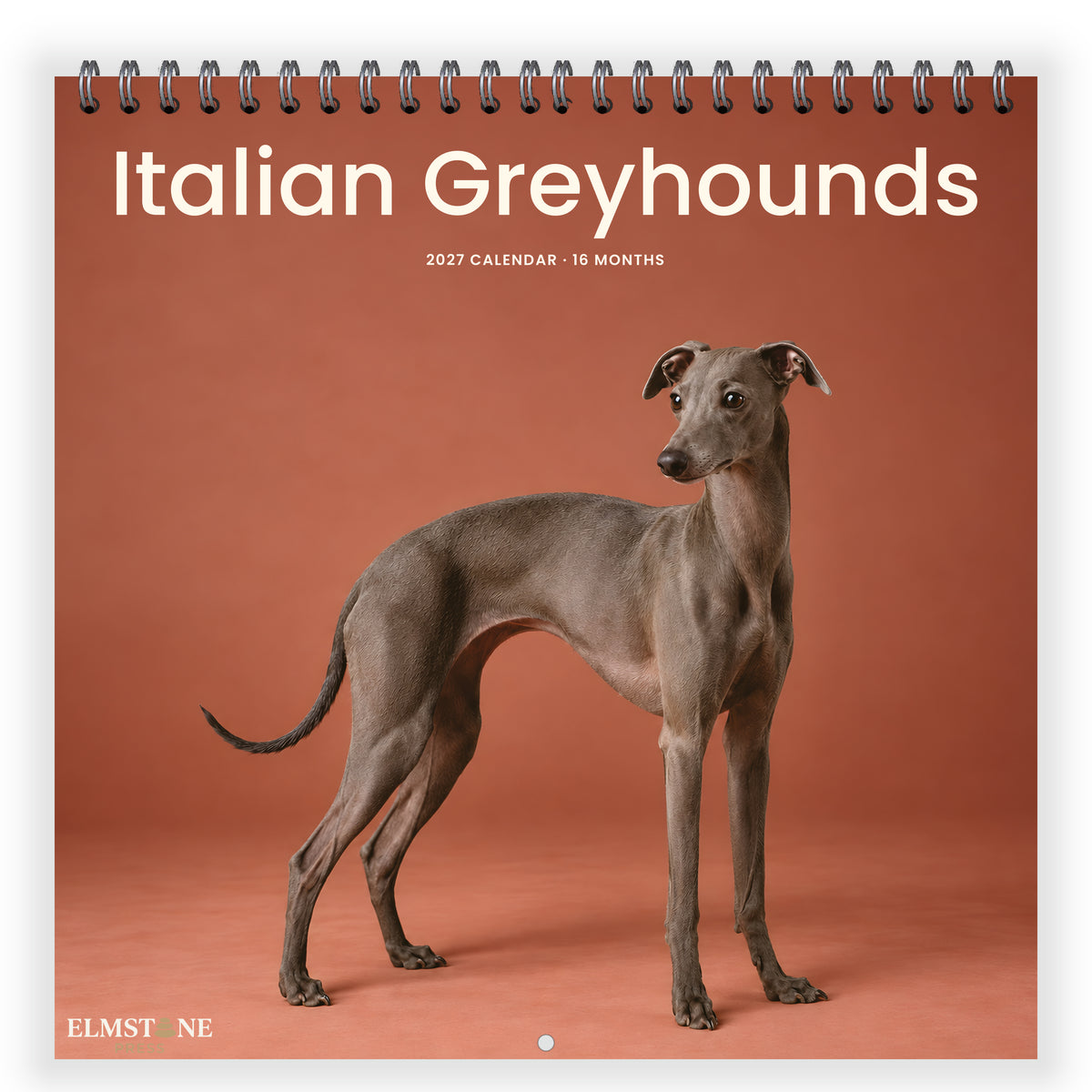 Italian_Greyhounds_-_649310202867_-_01-front-cover-white.jpg