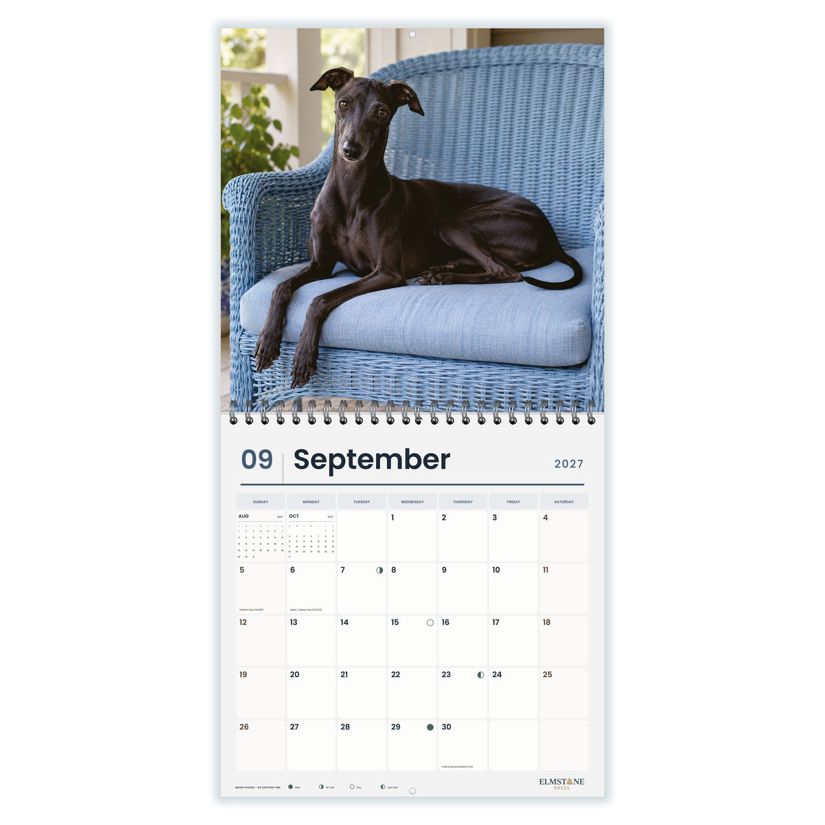 Italian_Greyhounds_-_649310202867_-_04-september-open-white.jpg
