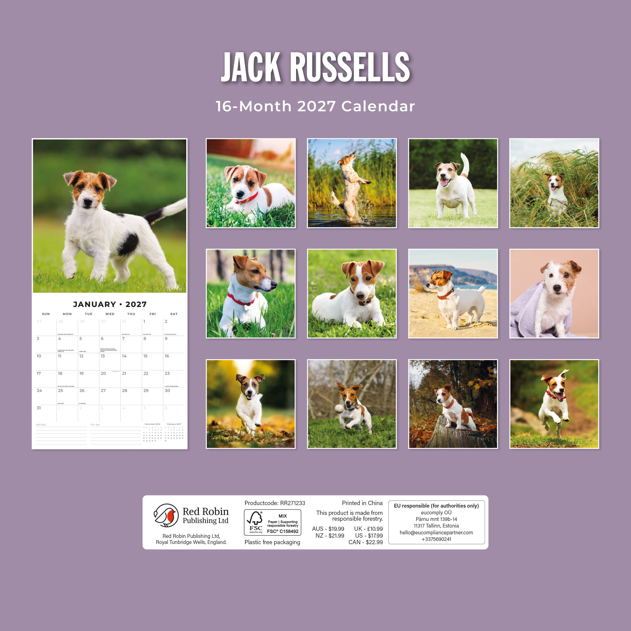 2027 Jack Russells - Square Wall Calendar