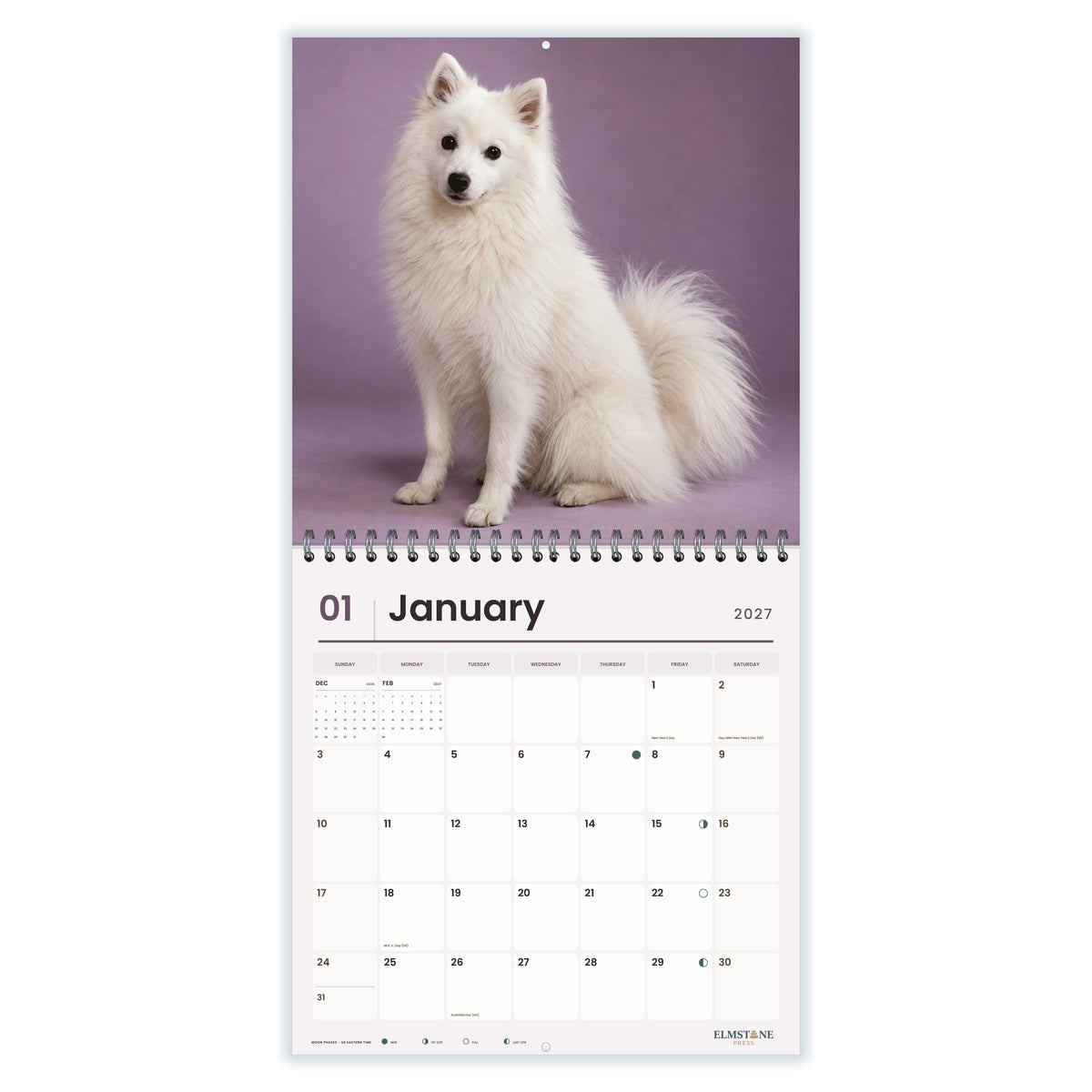 Japanese_Spitz_-_649310202874_-_02-january-open-white.jpg