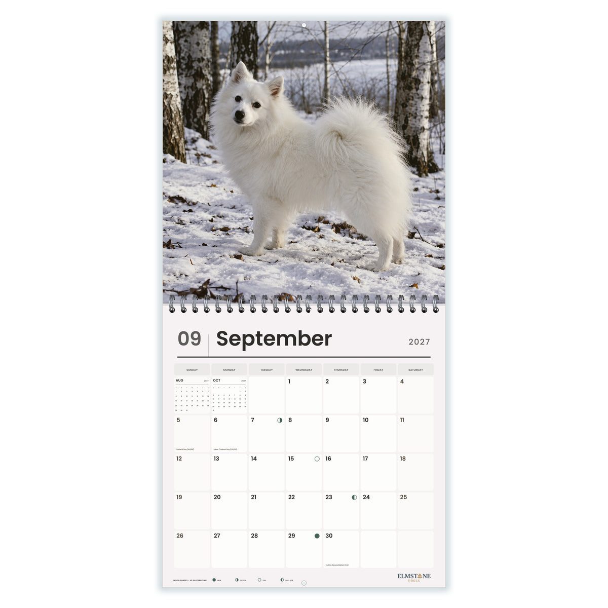 Japanese_Spitz_-_649310202874_-_04-september-open-white.jpg
