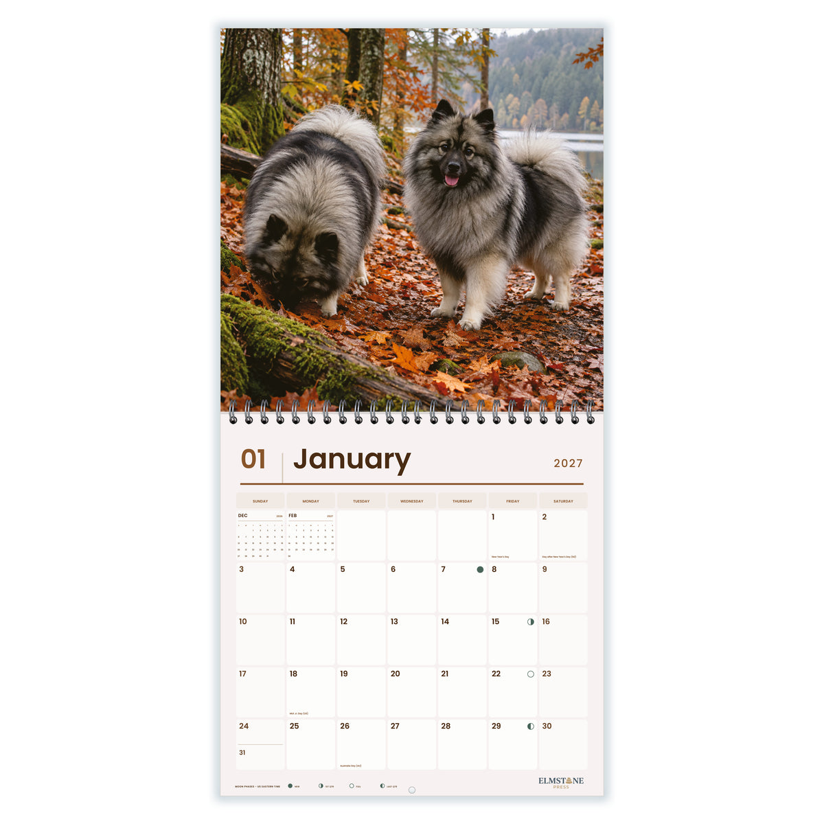 Keeshonds_-_649310203390_-_02-january-open-white.jpg
