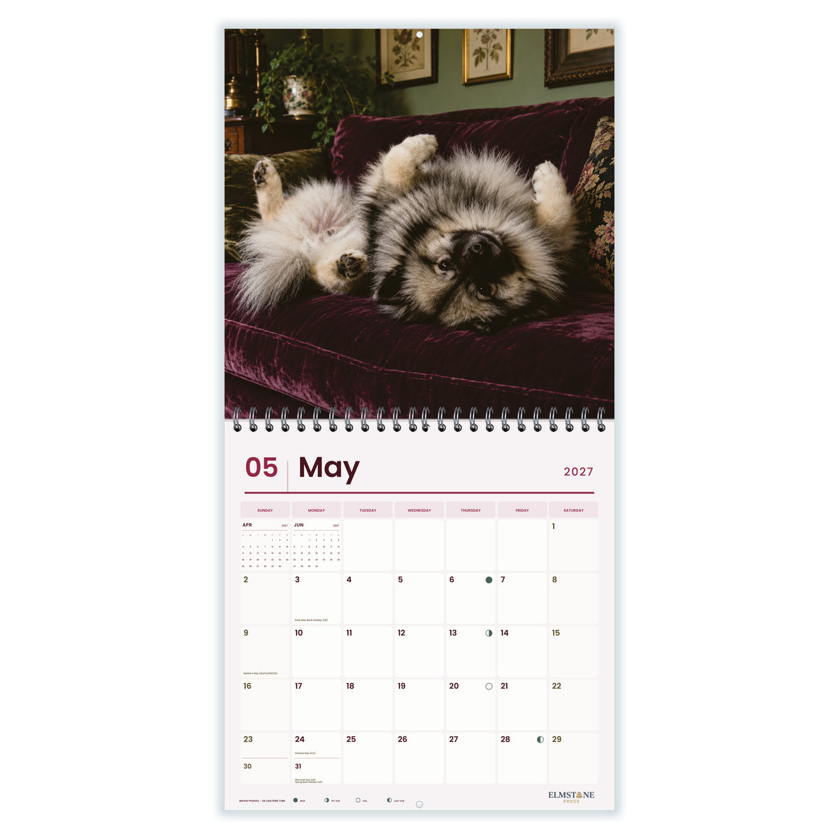 Keeshonds_-_649310203390_-_03-may-open-white.jpg