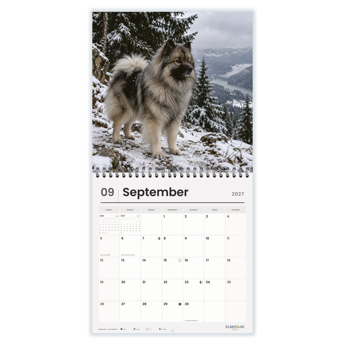 Keeshonds_-_649310203390_-_04-september-open-white.jpg